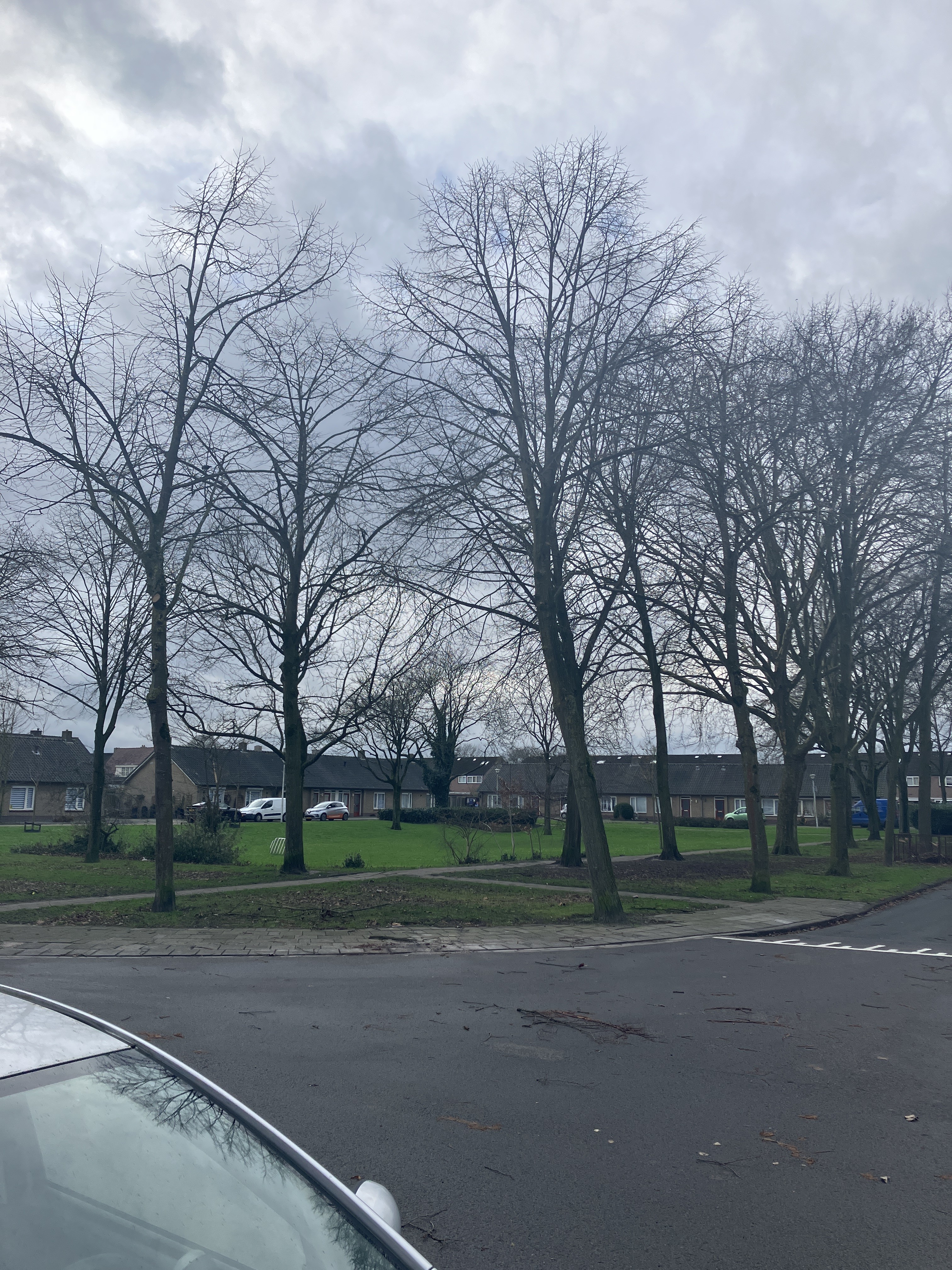 Van Hogendorpstraat 16