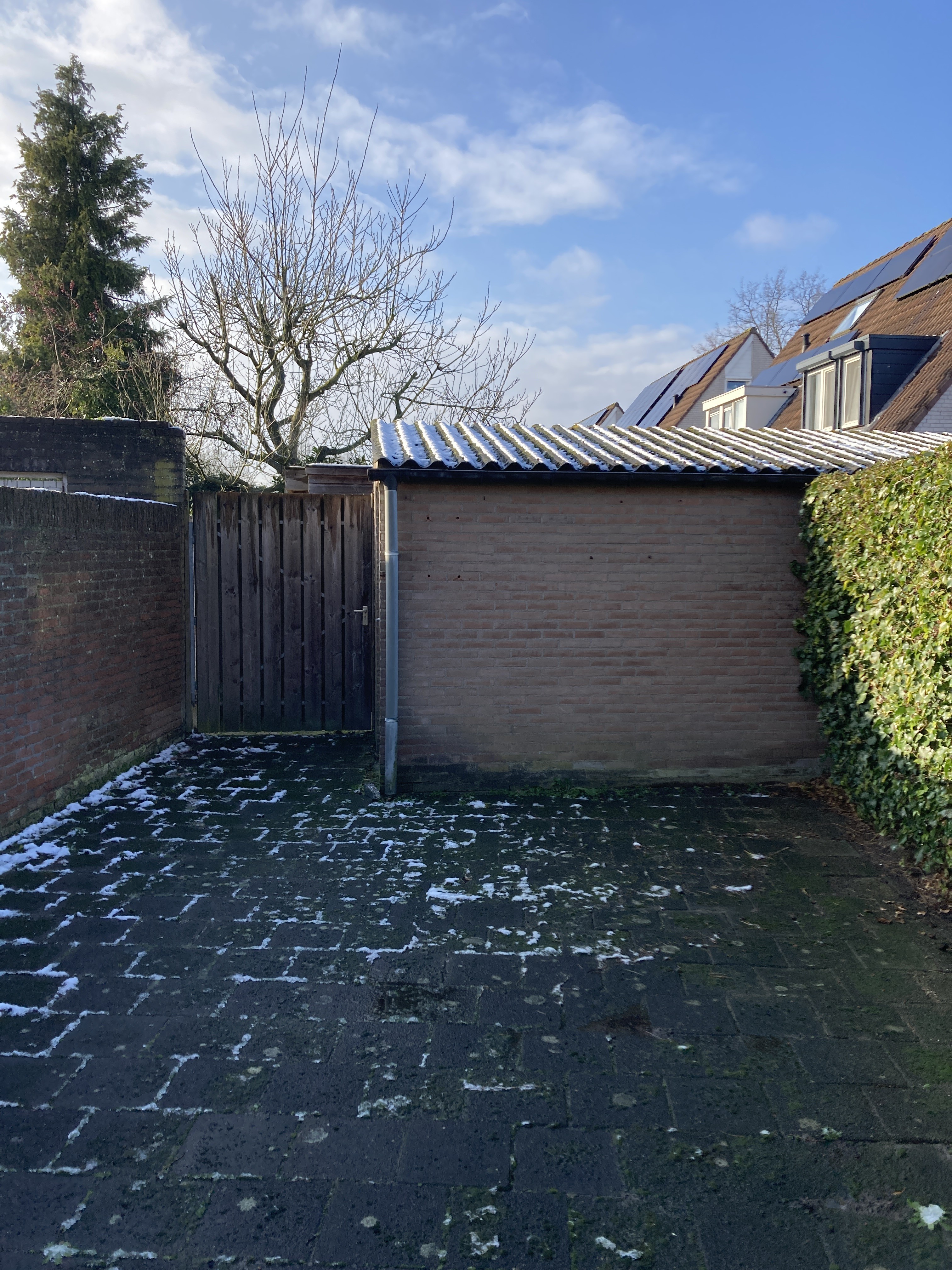 Rozemarijn 65