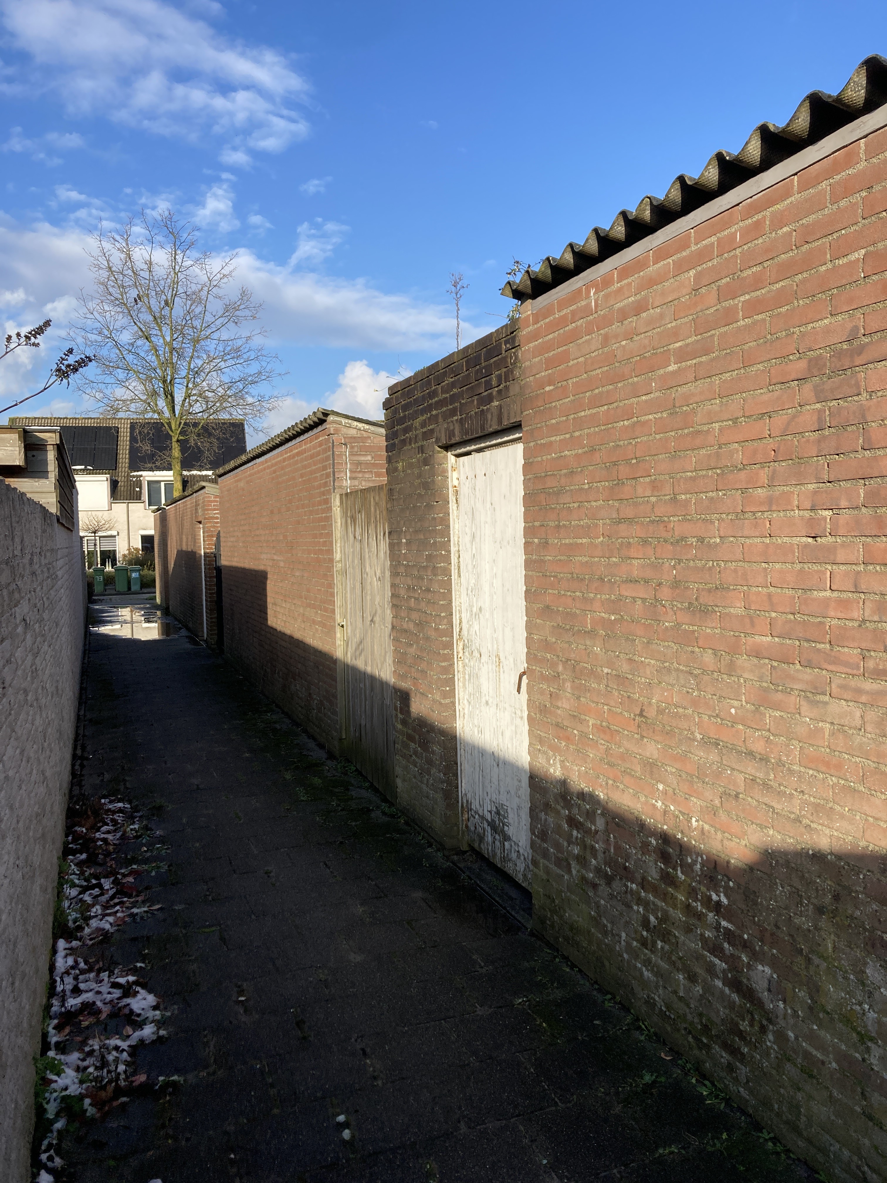 Rozemarijn 65