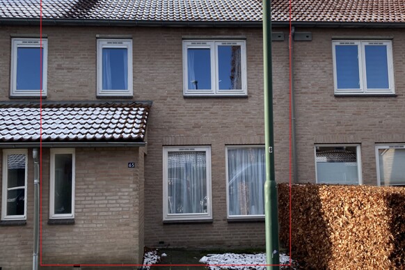 Rozemarijn 65