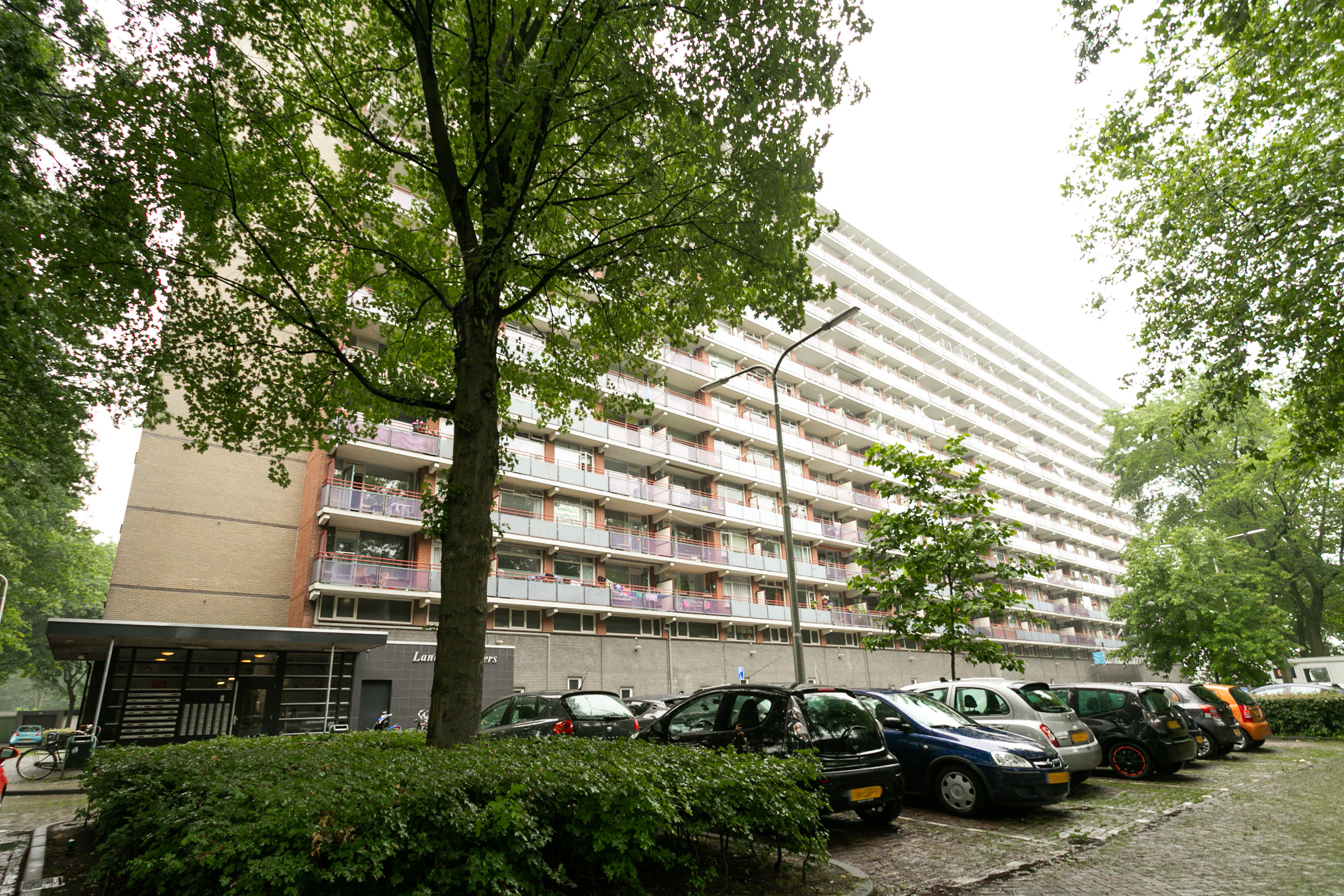 Griegstraat 401