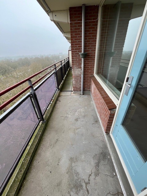 Griegstraat 401