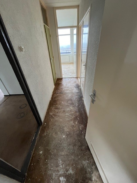 Griegstraat 401