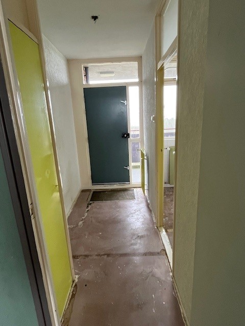 Griegstraat 401