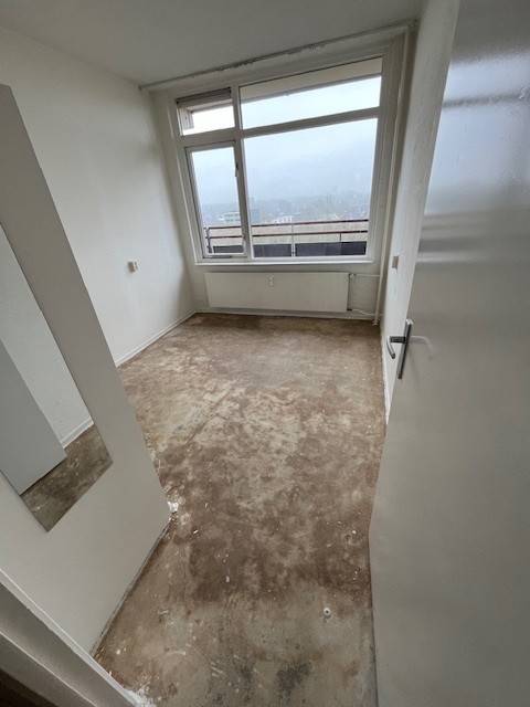 Griegstraat 401
