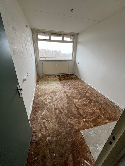 Griegstraat 401