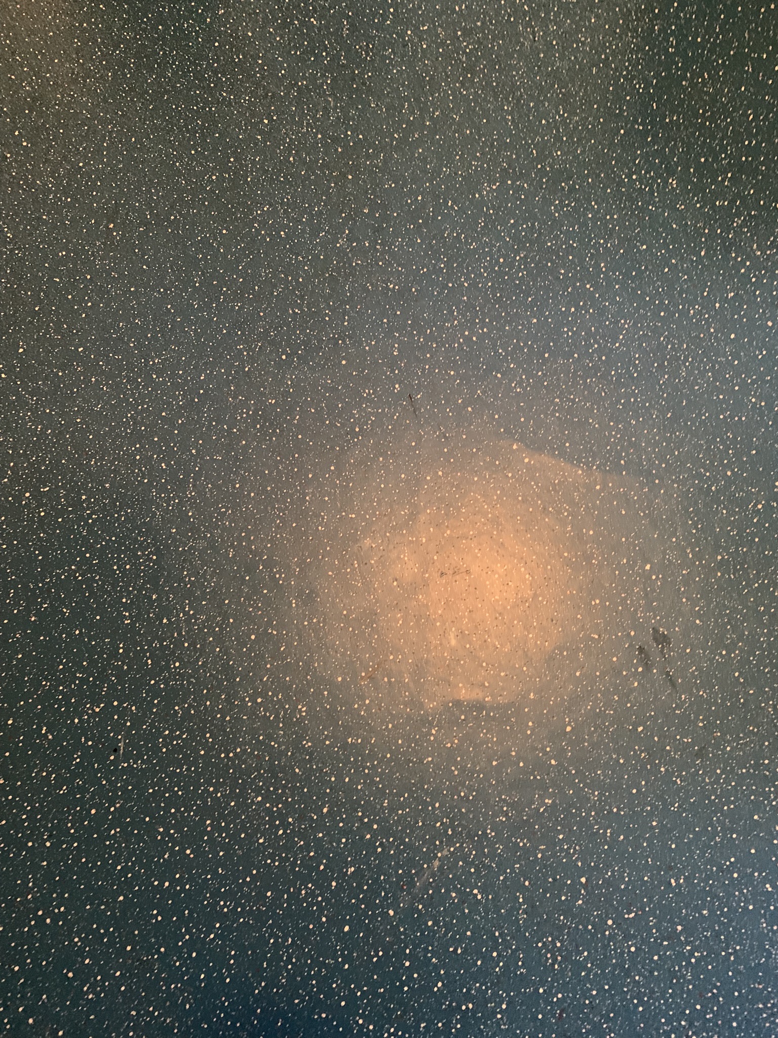 Prinses Irenestraat 7