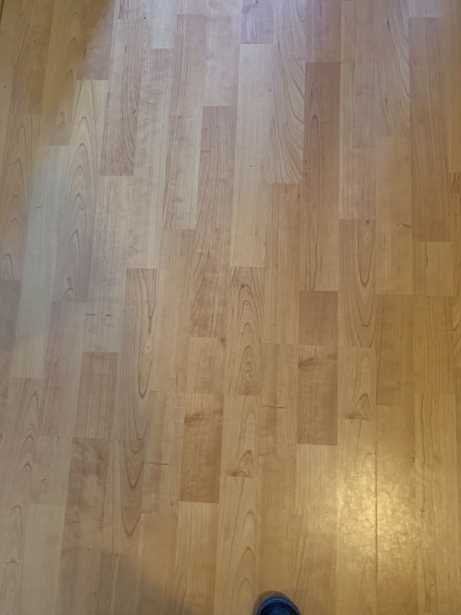 Prinses Irenestraat 7