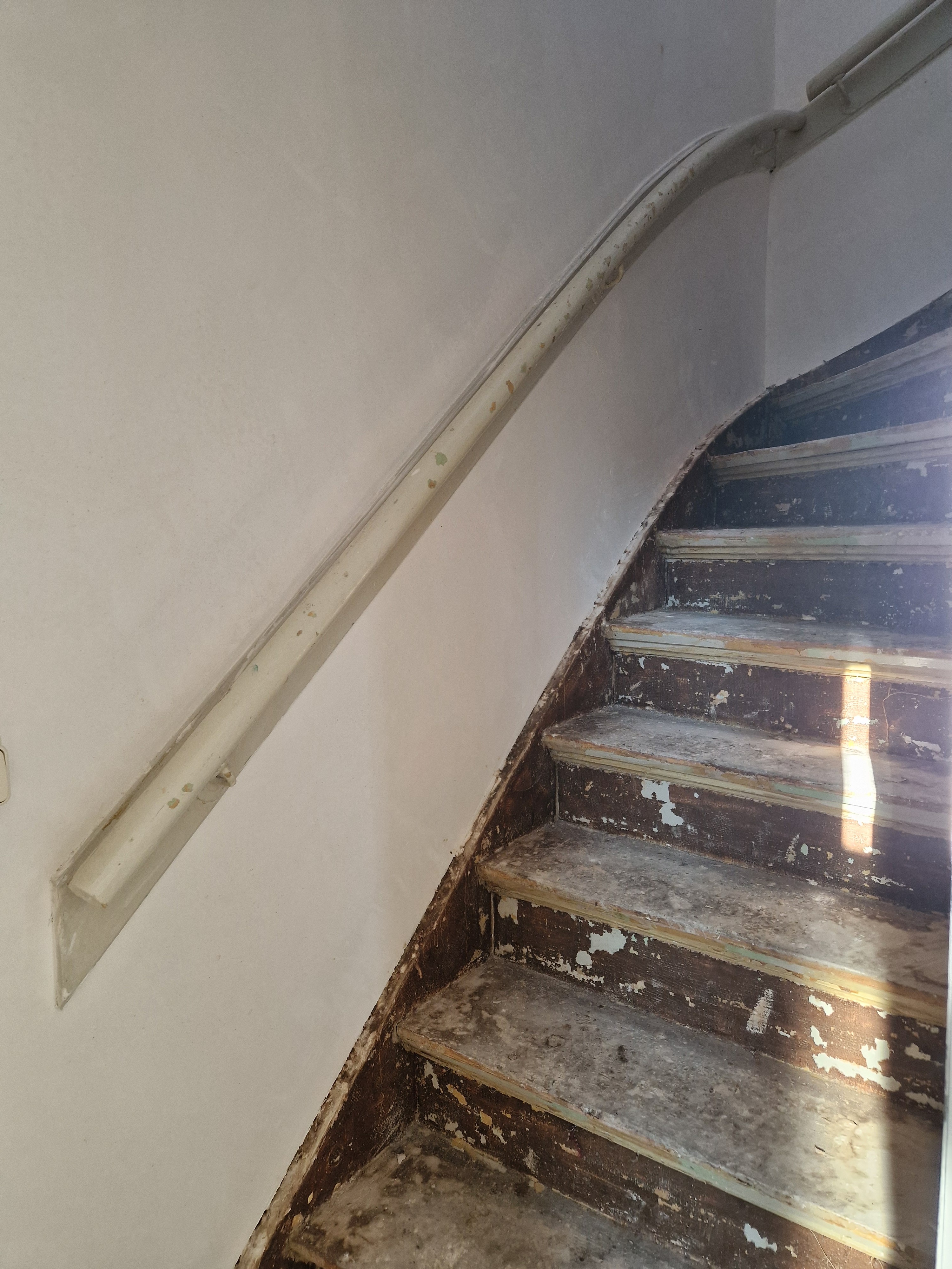 Meester Schrauwenstraat 24