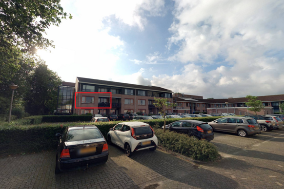 Goudvink 34