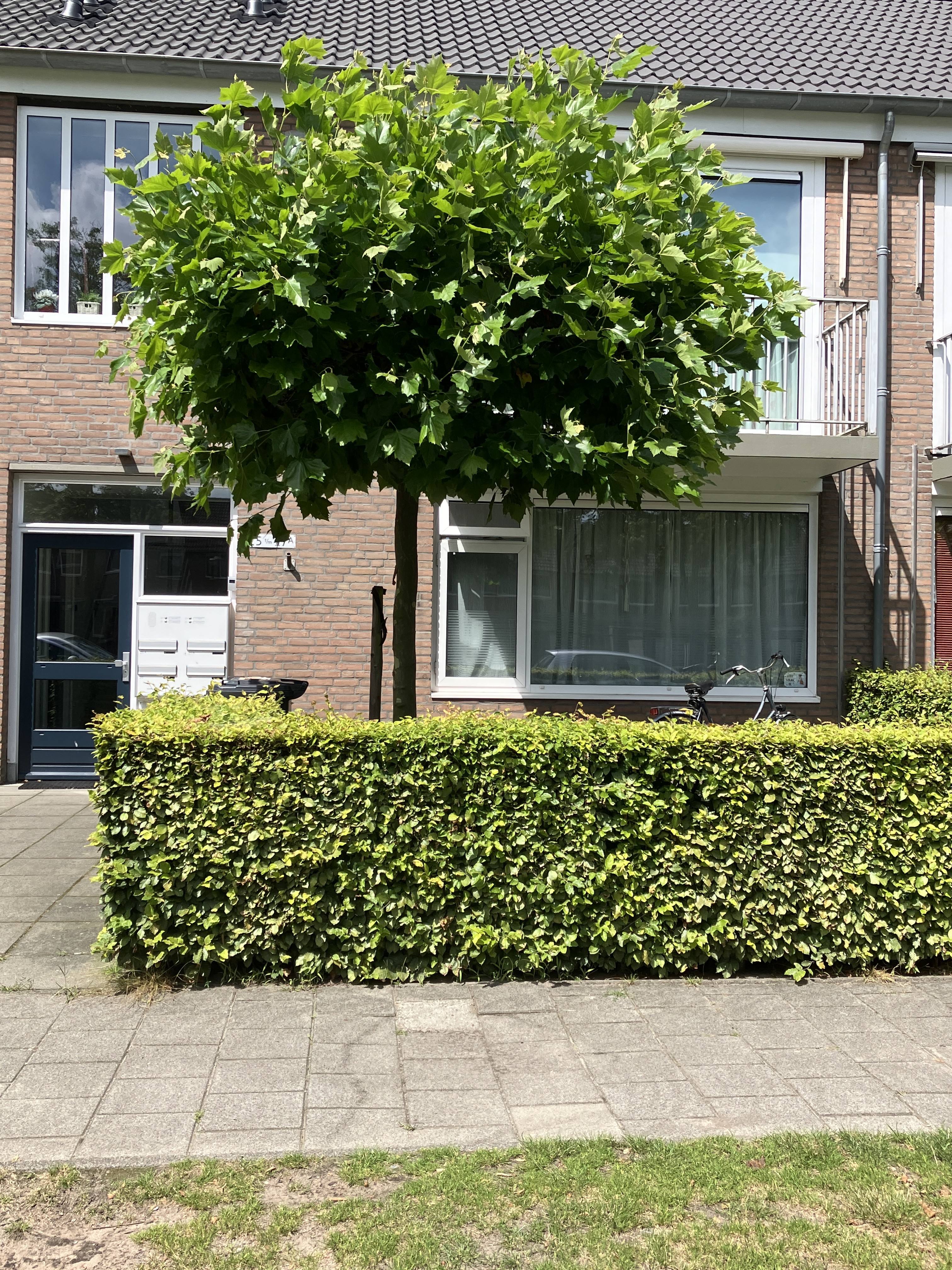 Houtelaar 27, 5121 SH Rijen, Nederland
