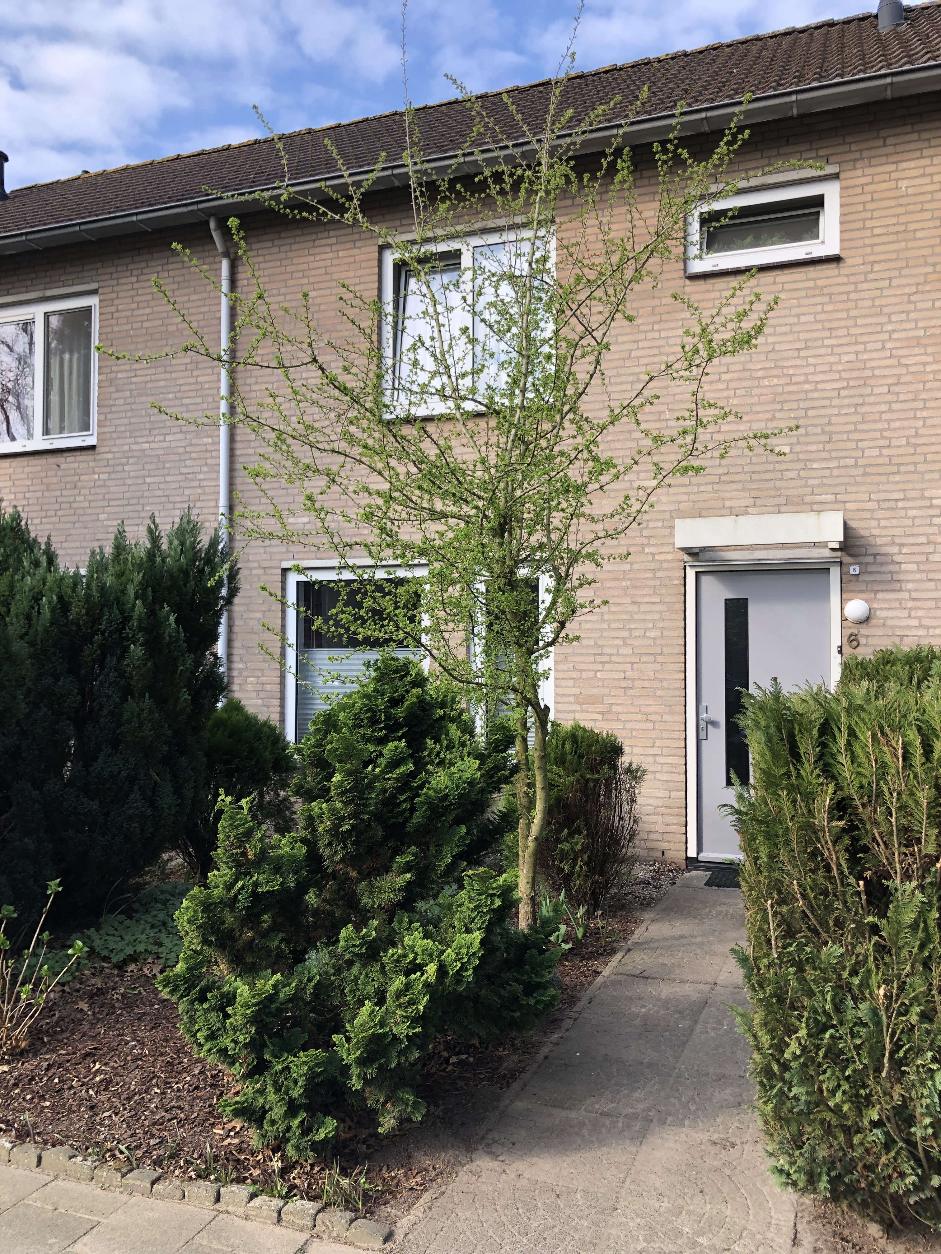 Ronsel 6, 5133 CC Riel, Nederland