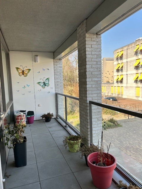 Kruisvaardersstraat 154