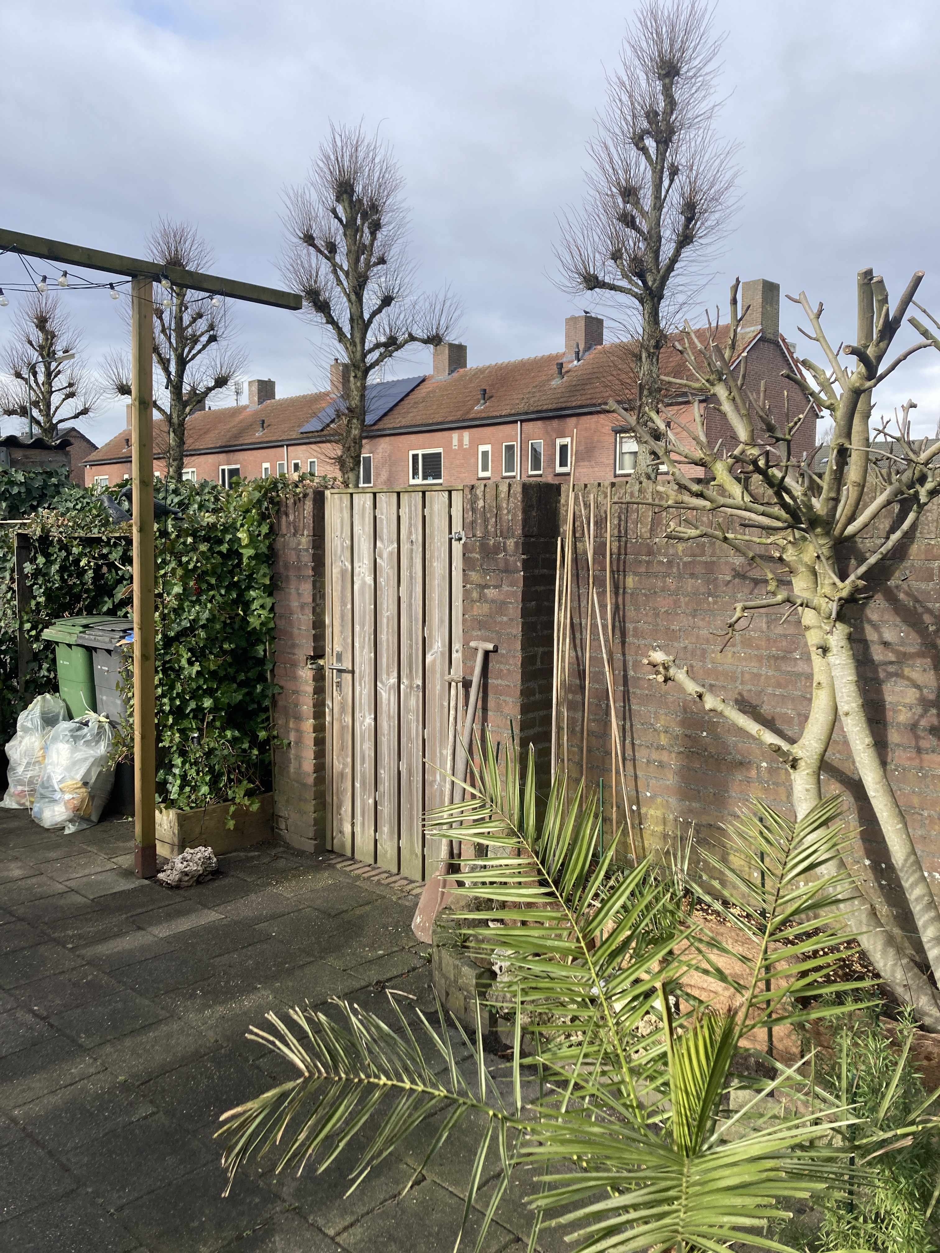 Willem de Zwijgerlaan 34