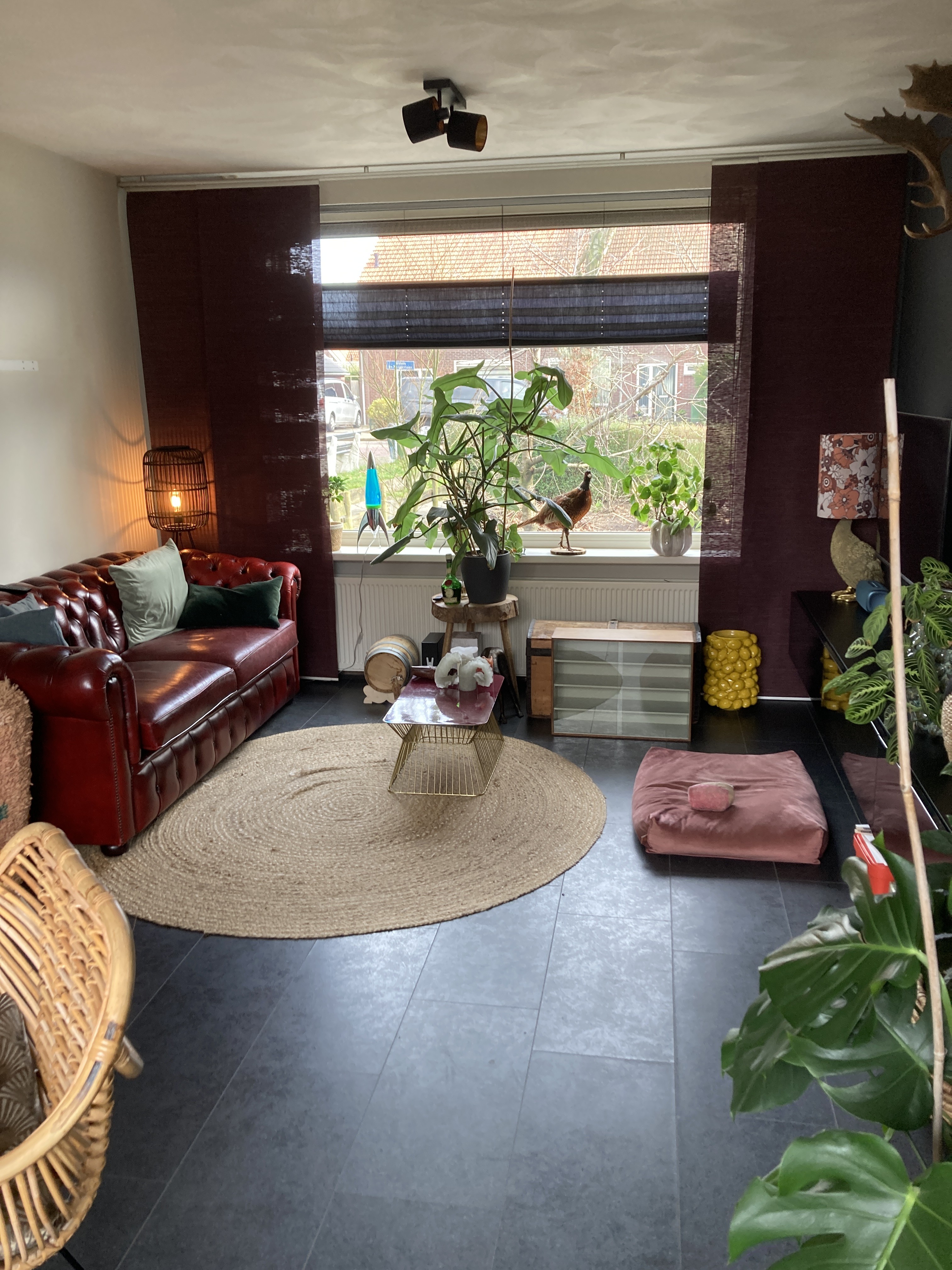 Willem de Zwijgerlaan 34