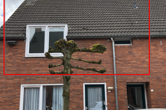 Koestraat 29