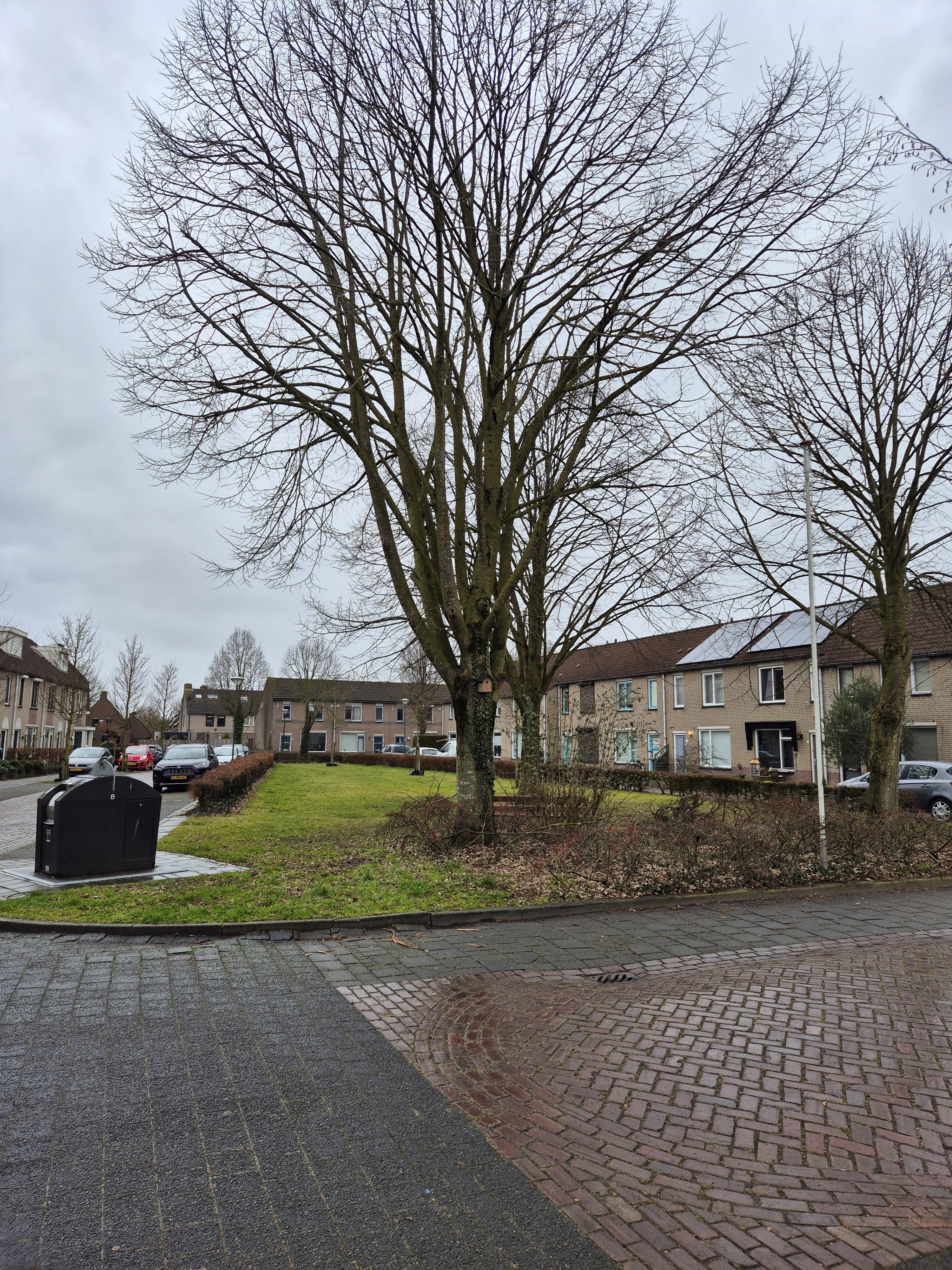 Pastoor Conincxstraat 25