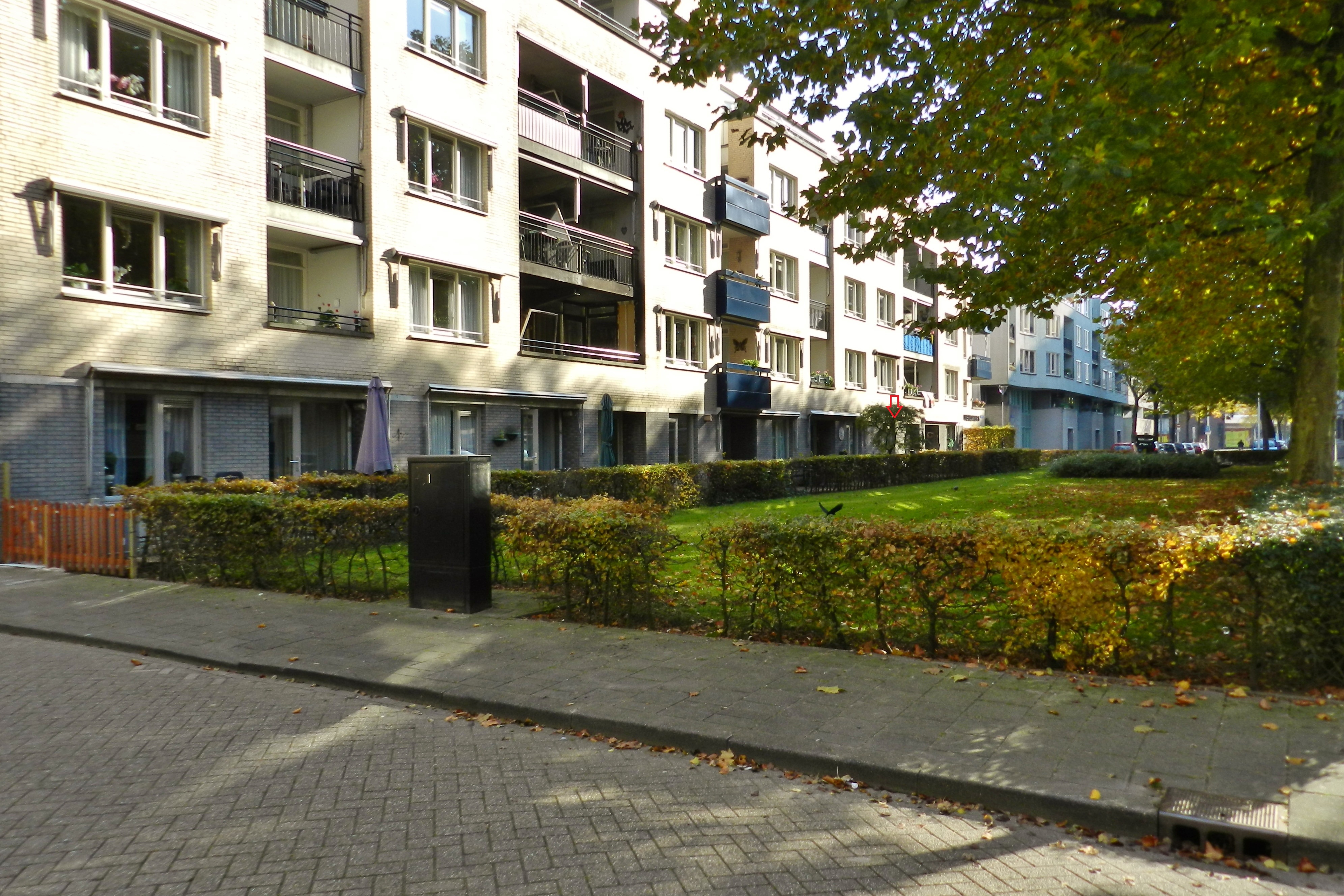 Frater Romboutshof 6