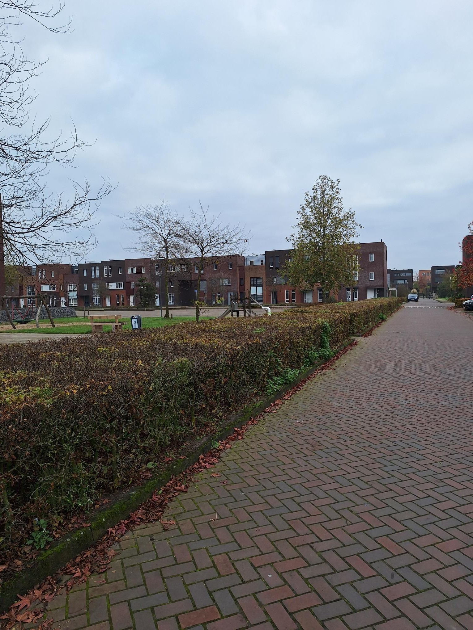 Villa Waterranonkel 213