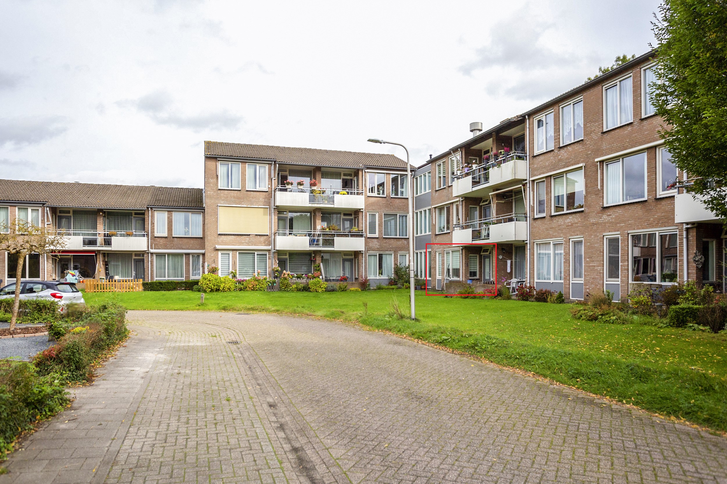 Goudsbloem 13