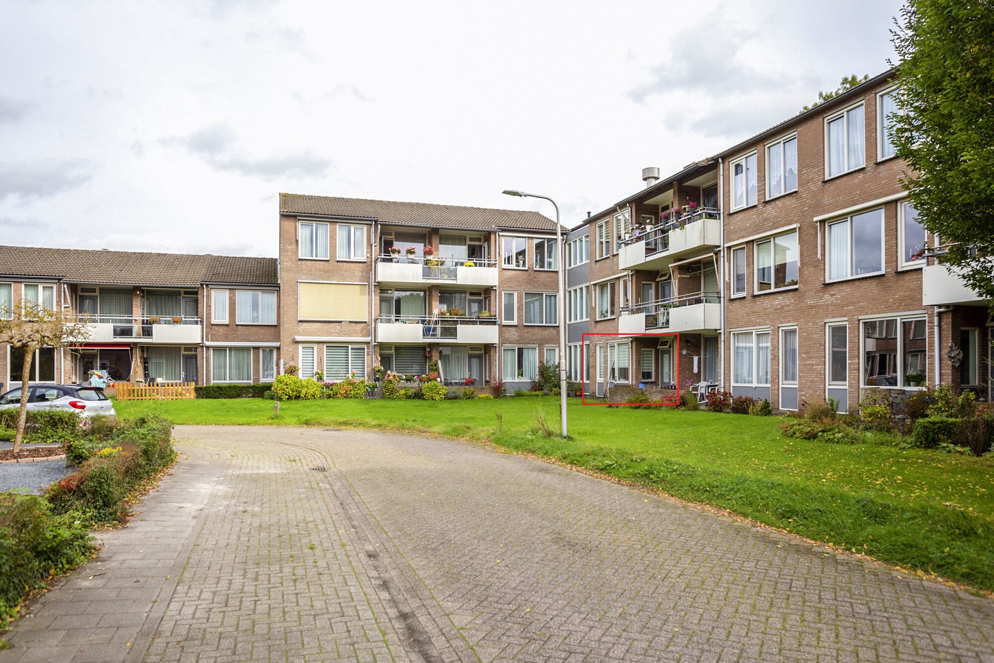 Goudsbloem 13