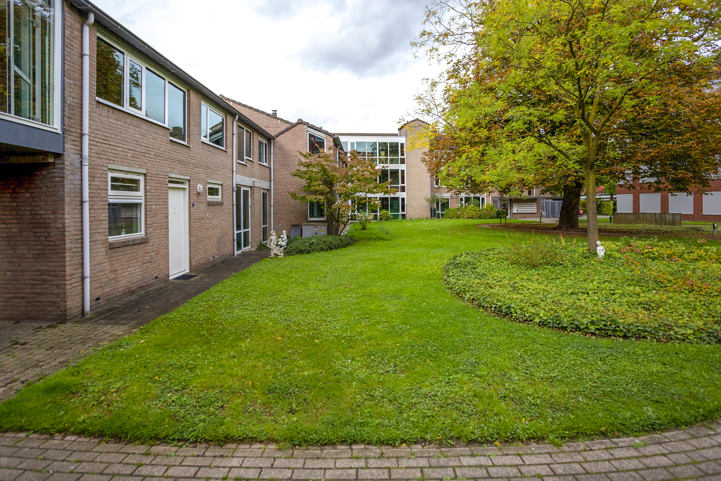 Goudsbloem 13