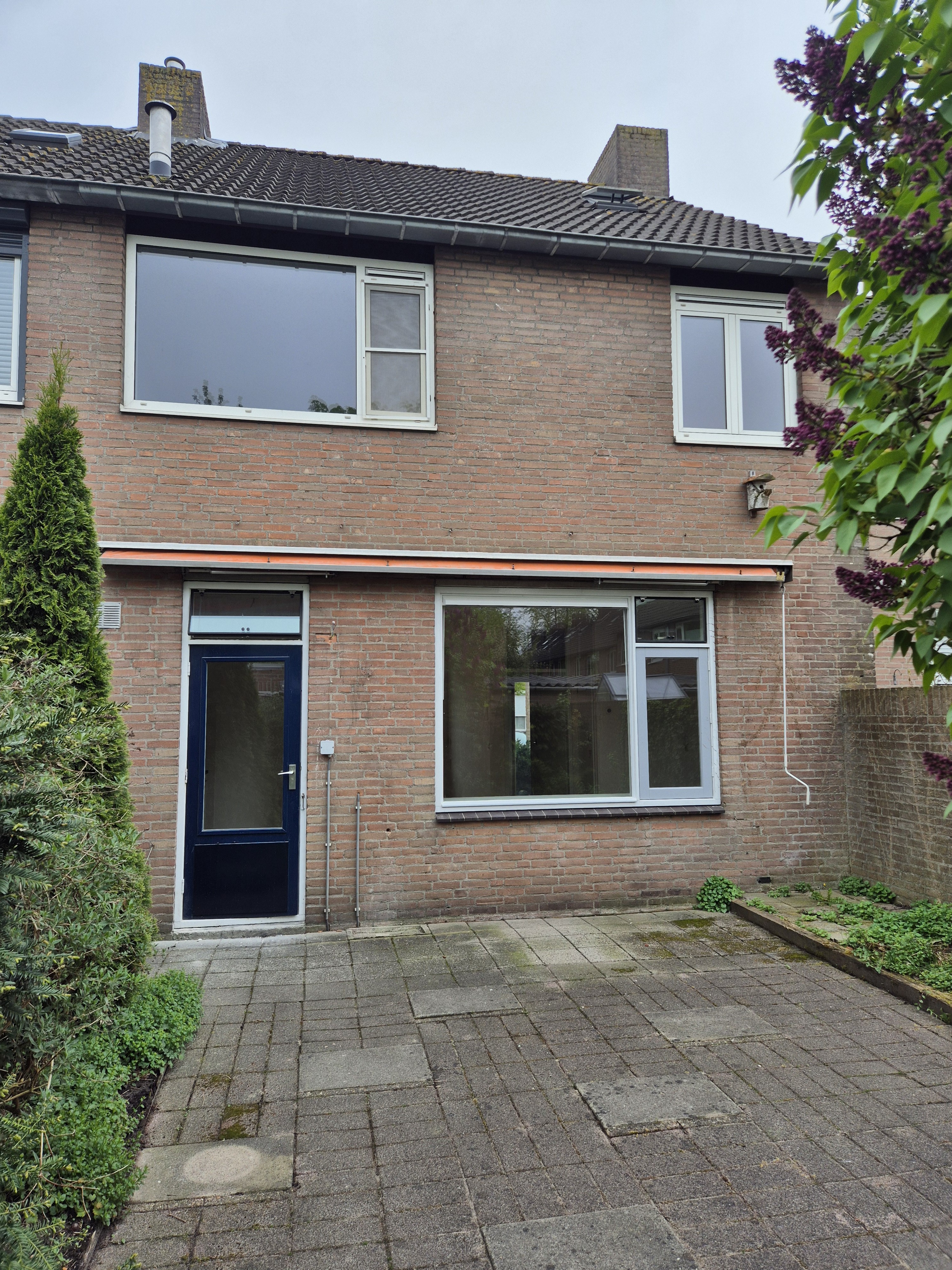 Doornbos 59