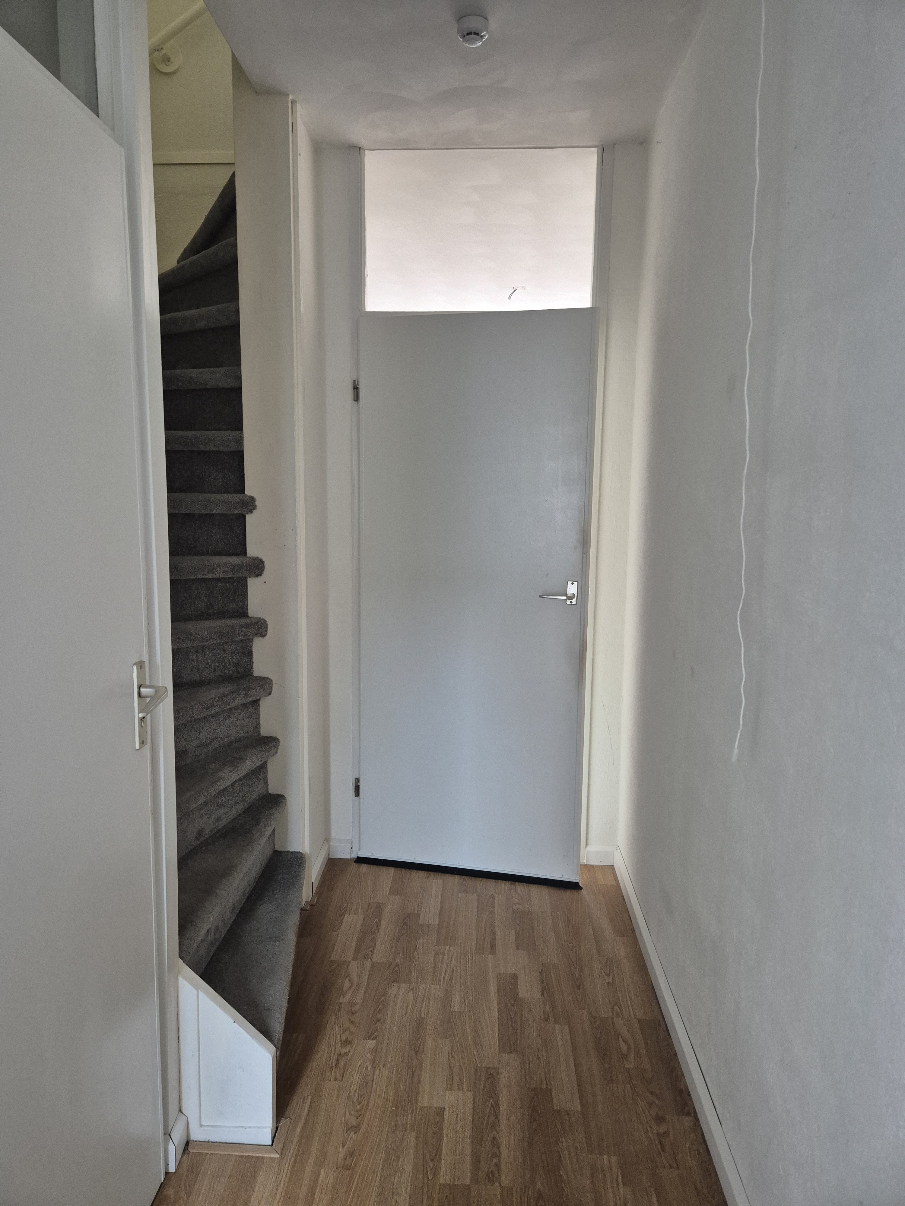 Doornbos 59