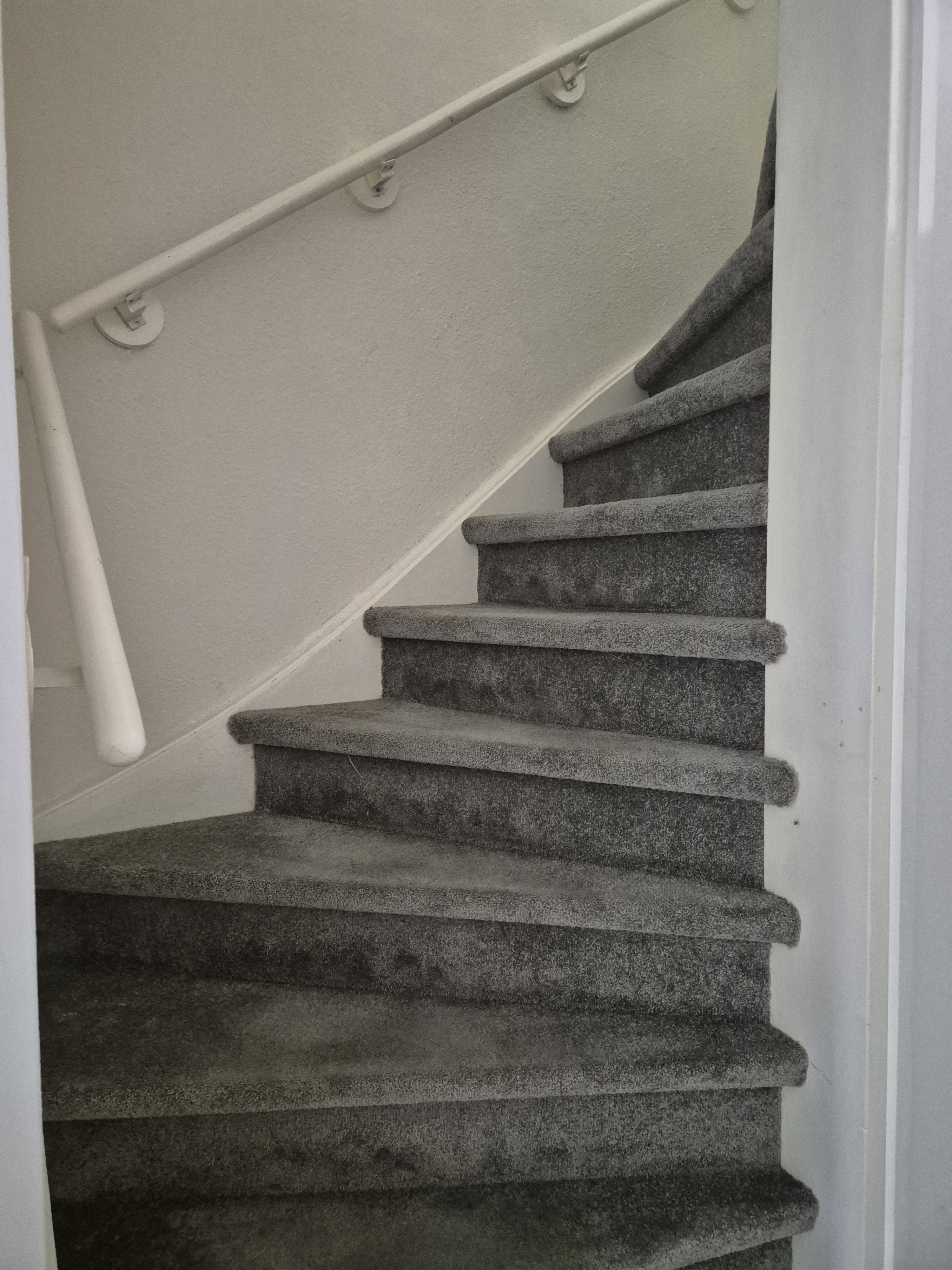 Doornbos 59