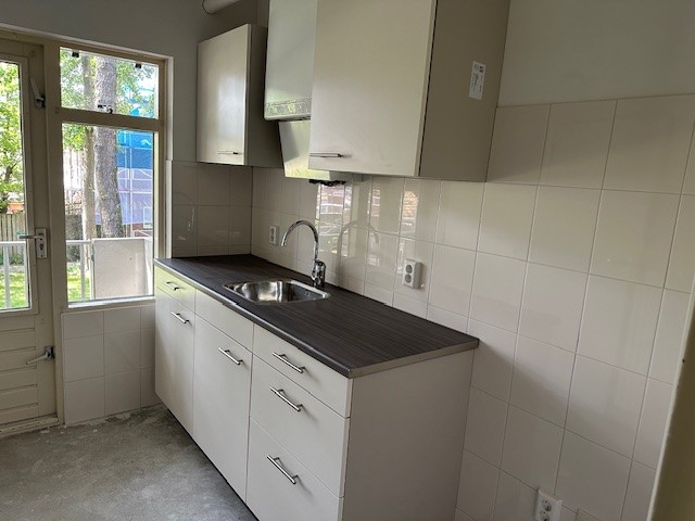 Reitse Hoevenstraat 195