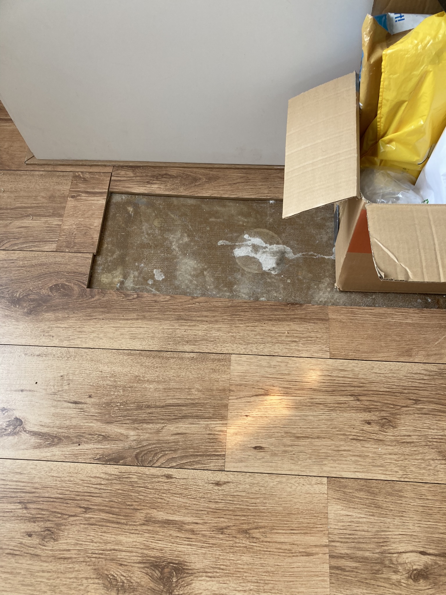 Abdij van Rijnsburgplein 34