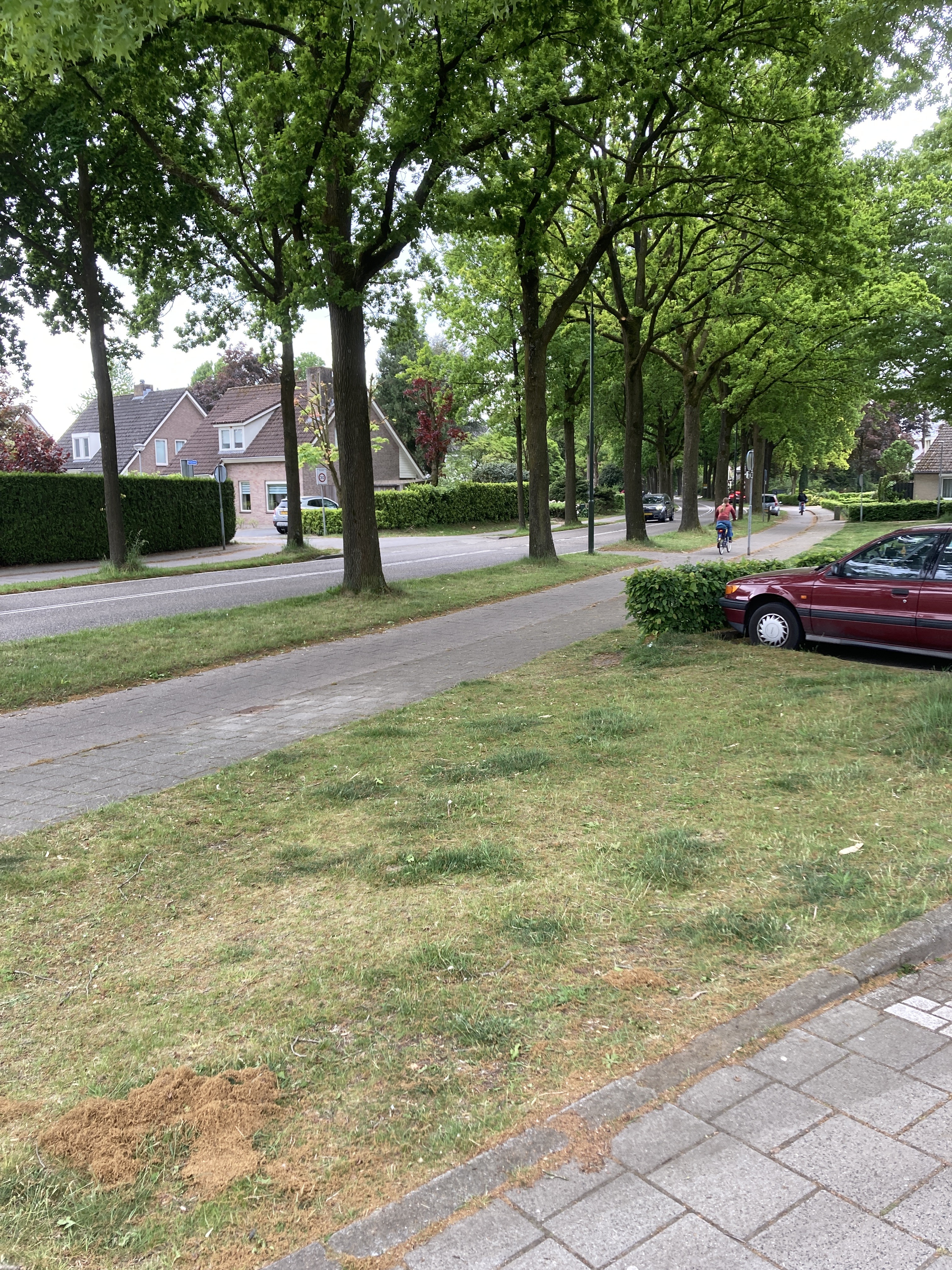 Helene Swarthdreef 15