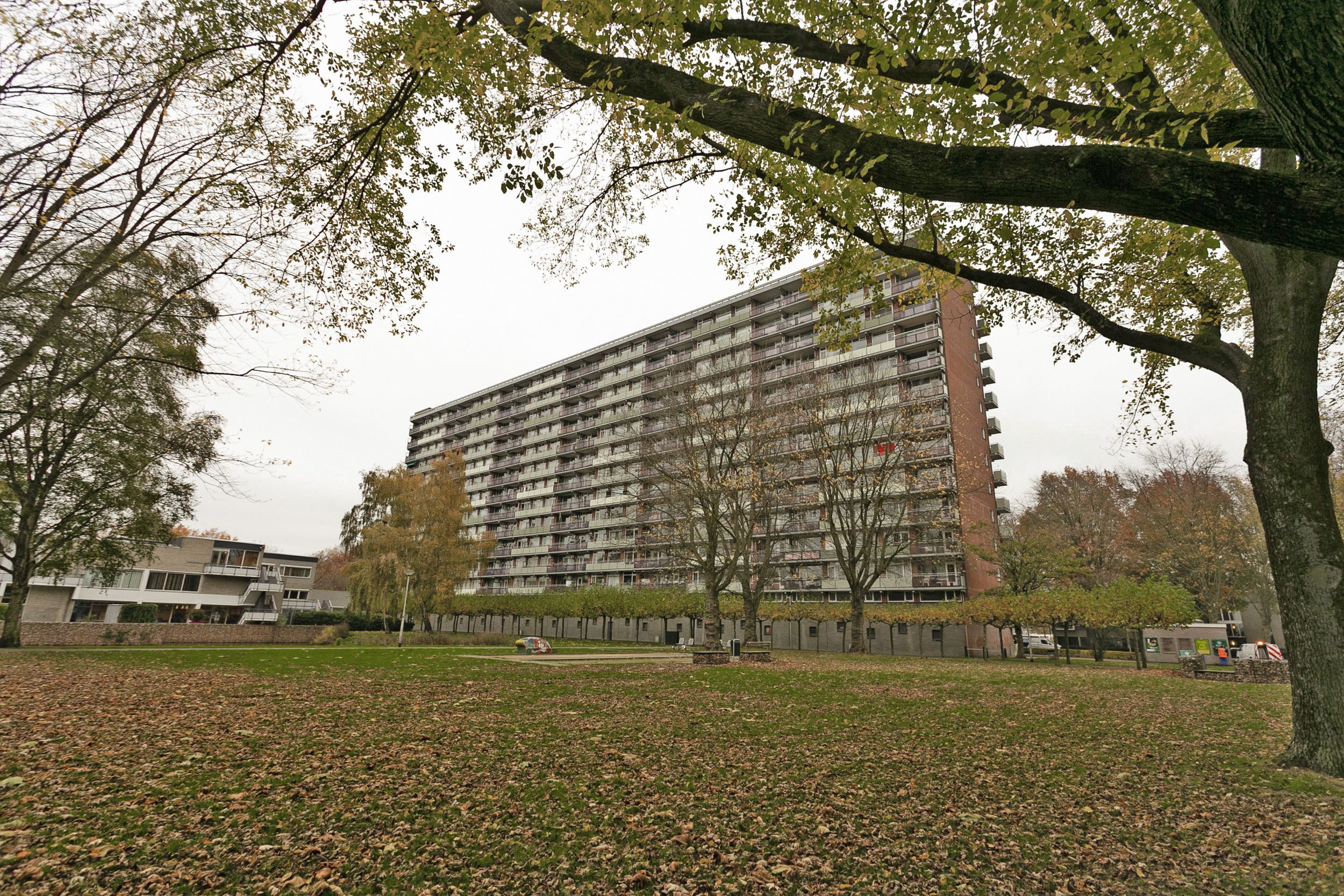 Componistenlaan 221