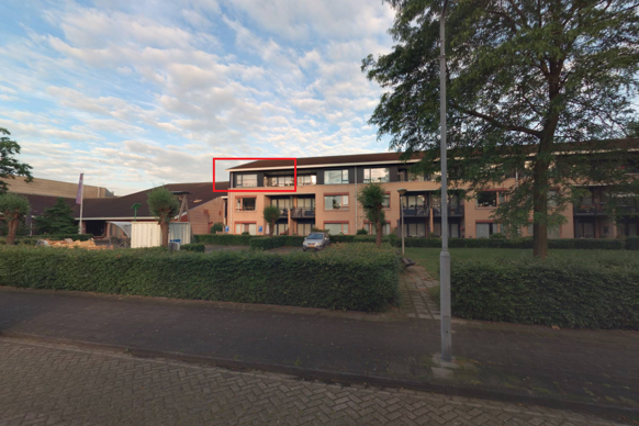 Goudvink 42