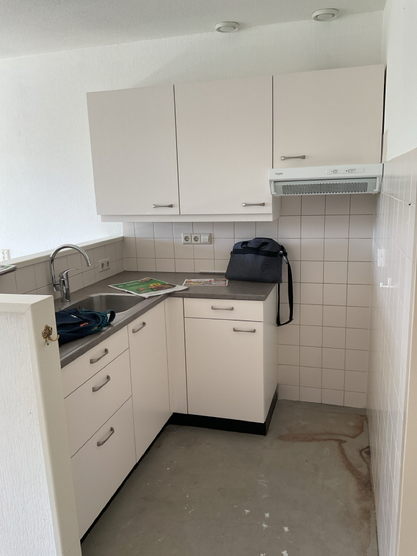 Goudvink 42