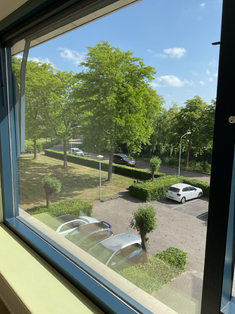 Goudvink 42