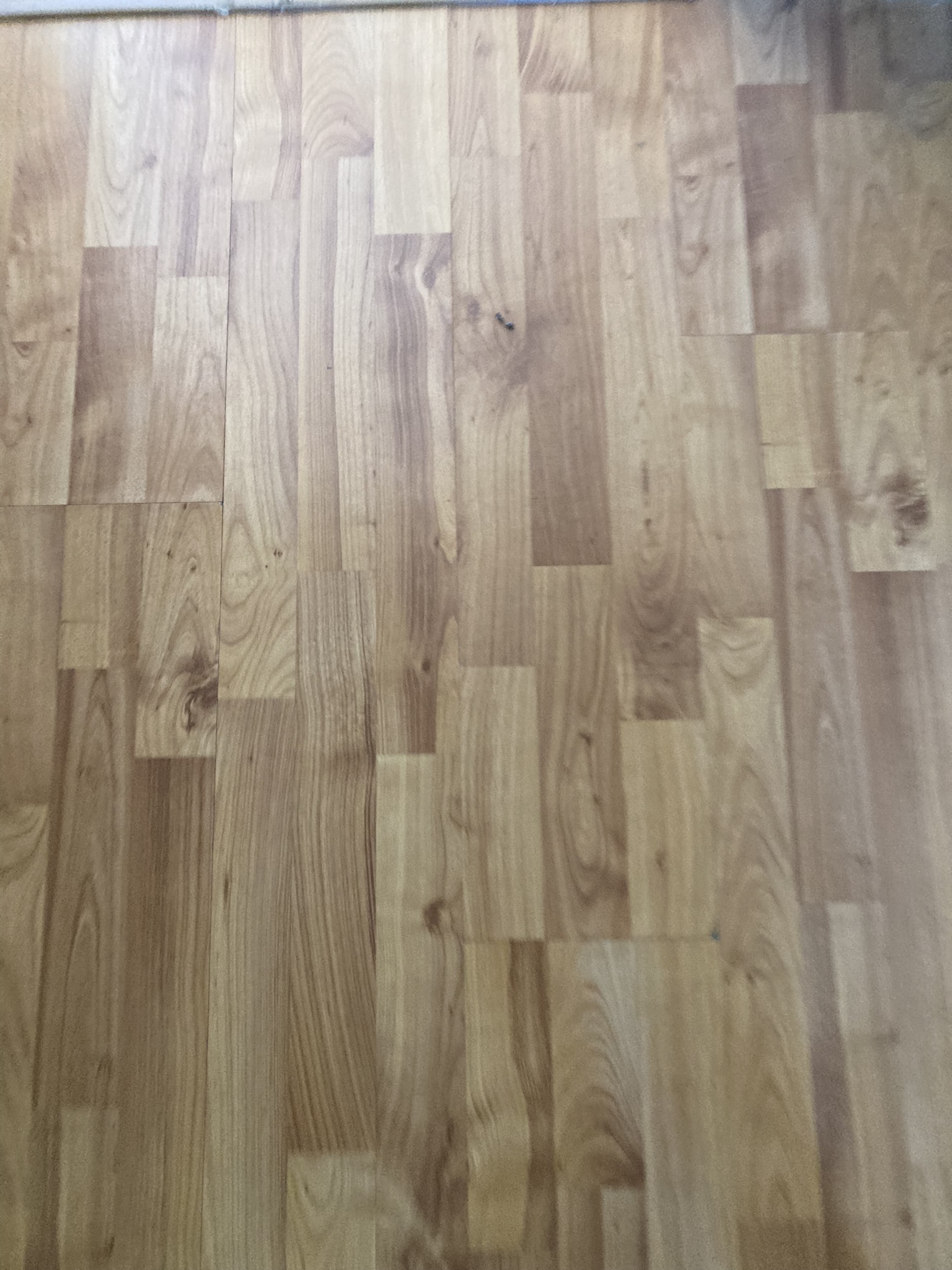 Reitse Hoevenstraat 179