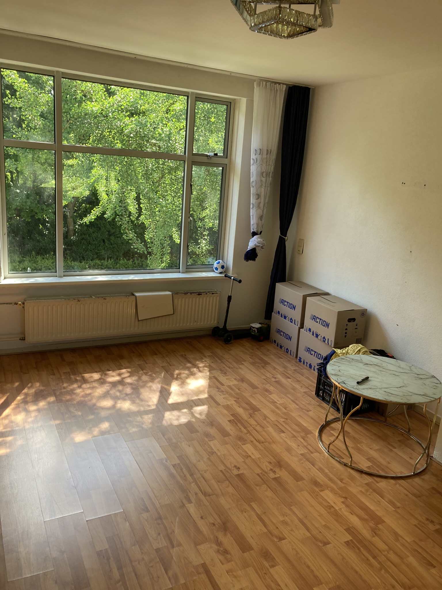 Reitse Hoevenstraat 179