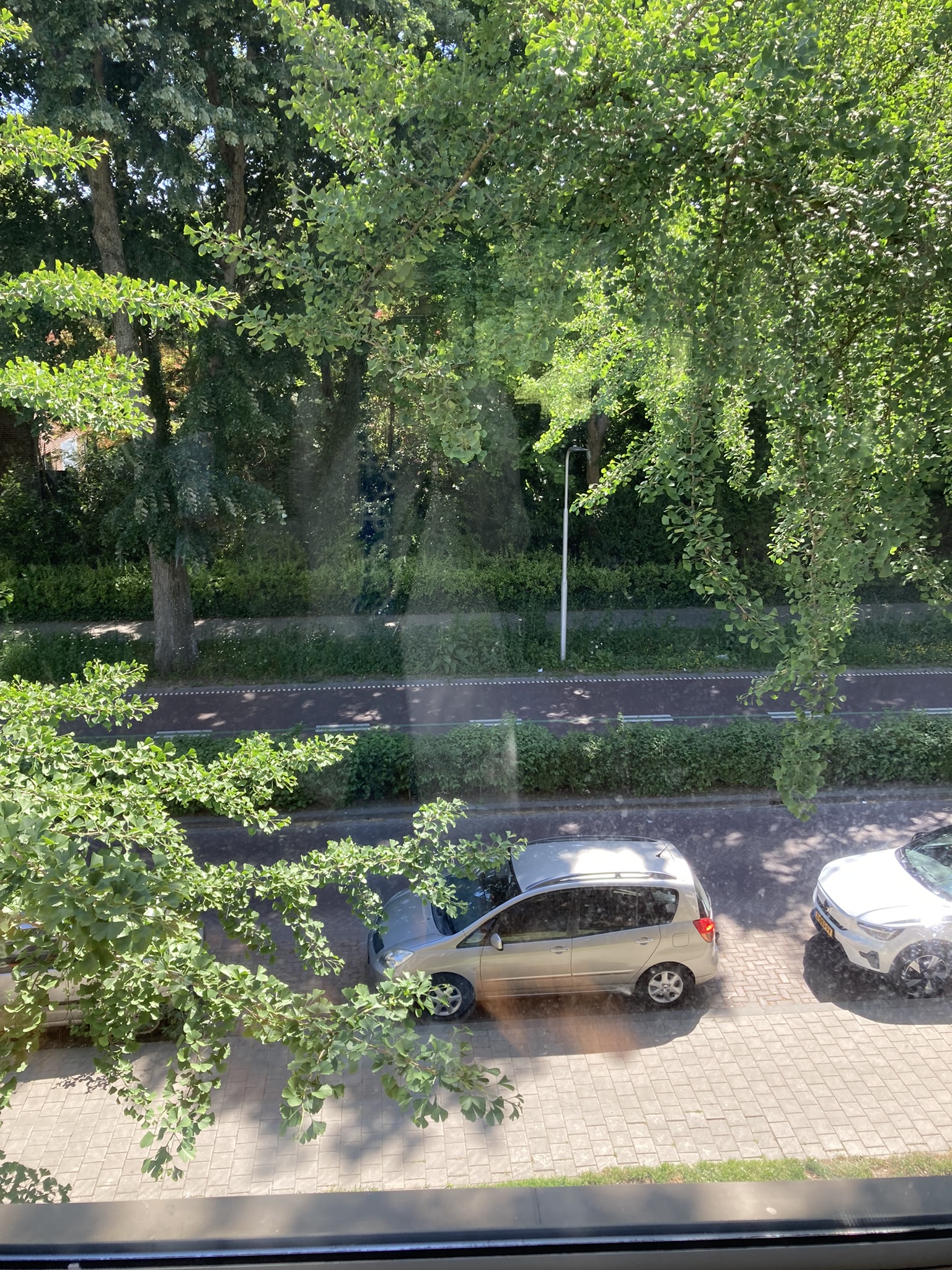 Reitse Hoevenstraat 179