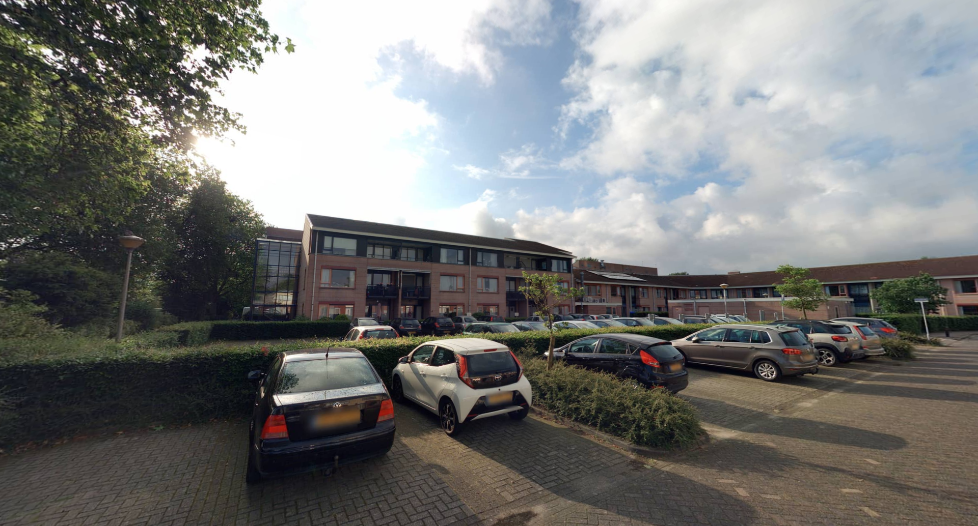 Goudvink 18
