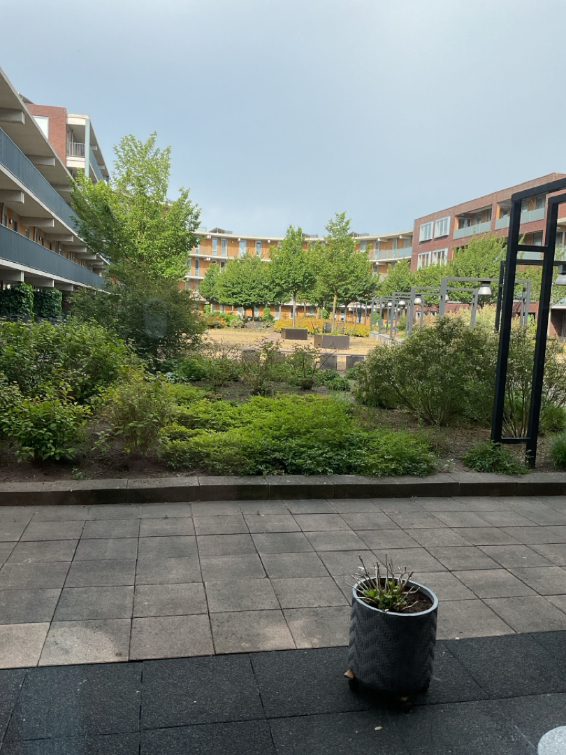 Villa Waterranonkel 112