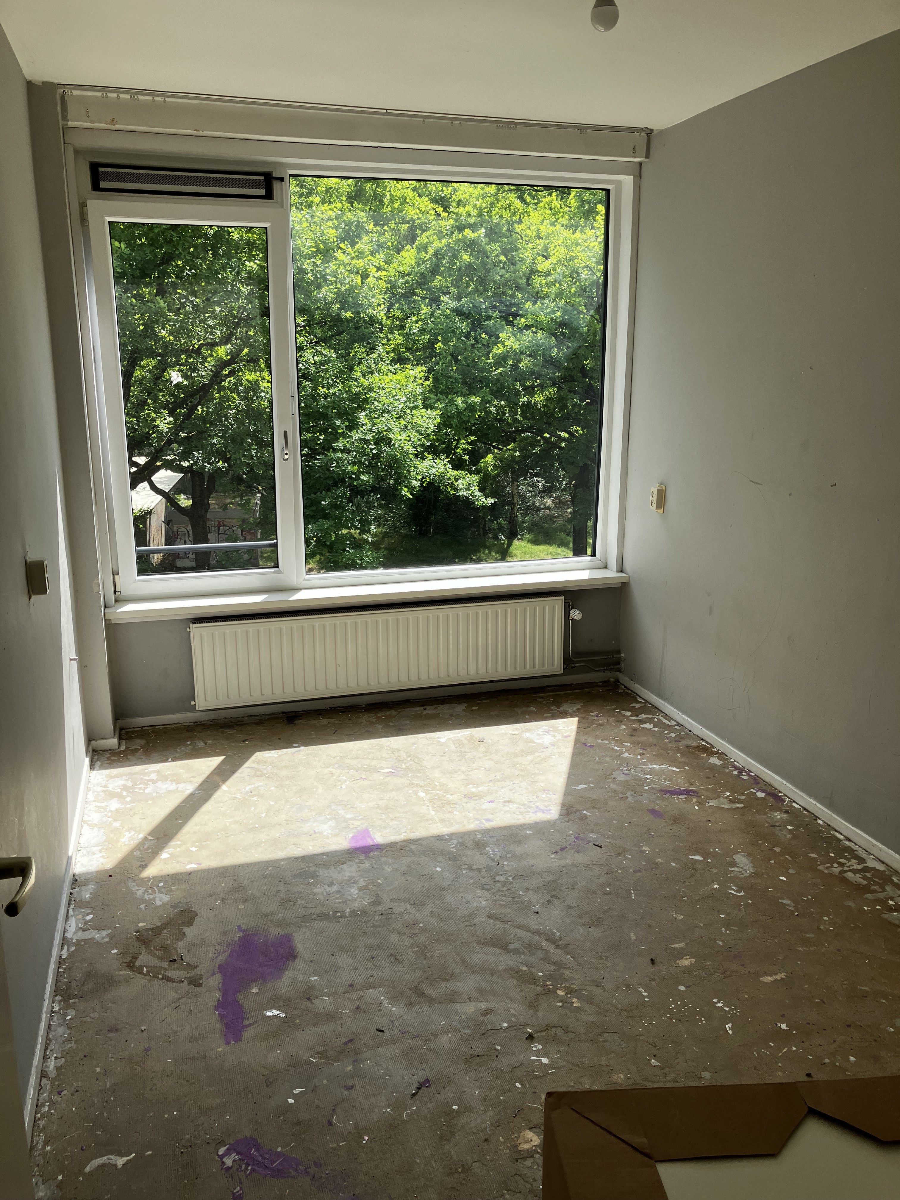 Reinevaarstraat 476