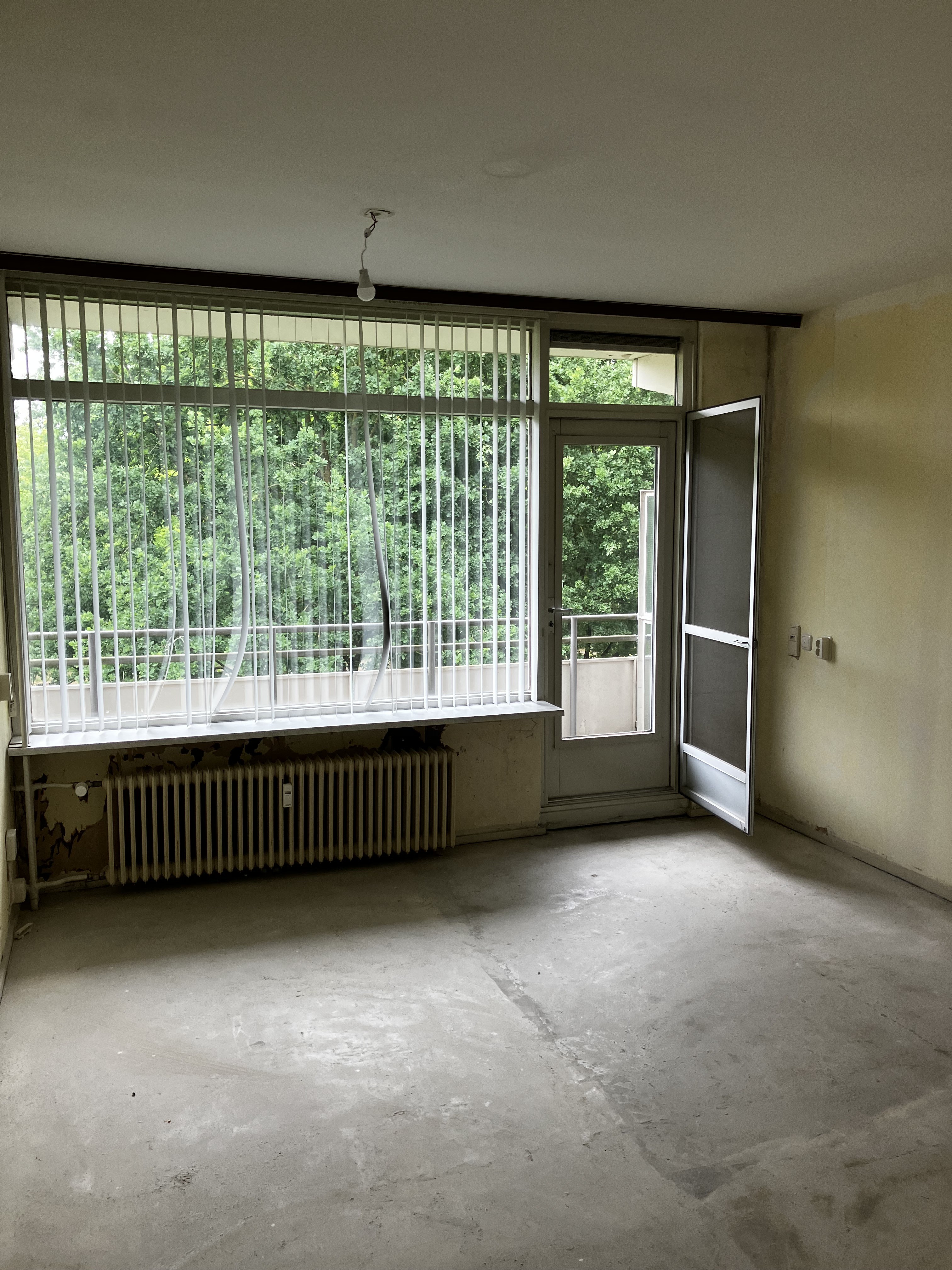 Redemptoristenstraat 203