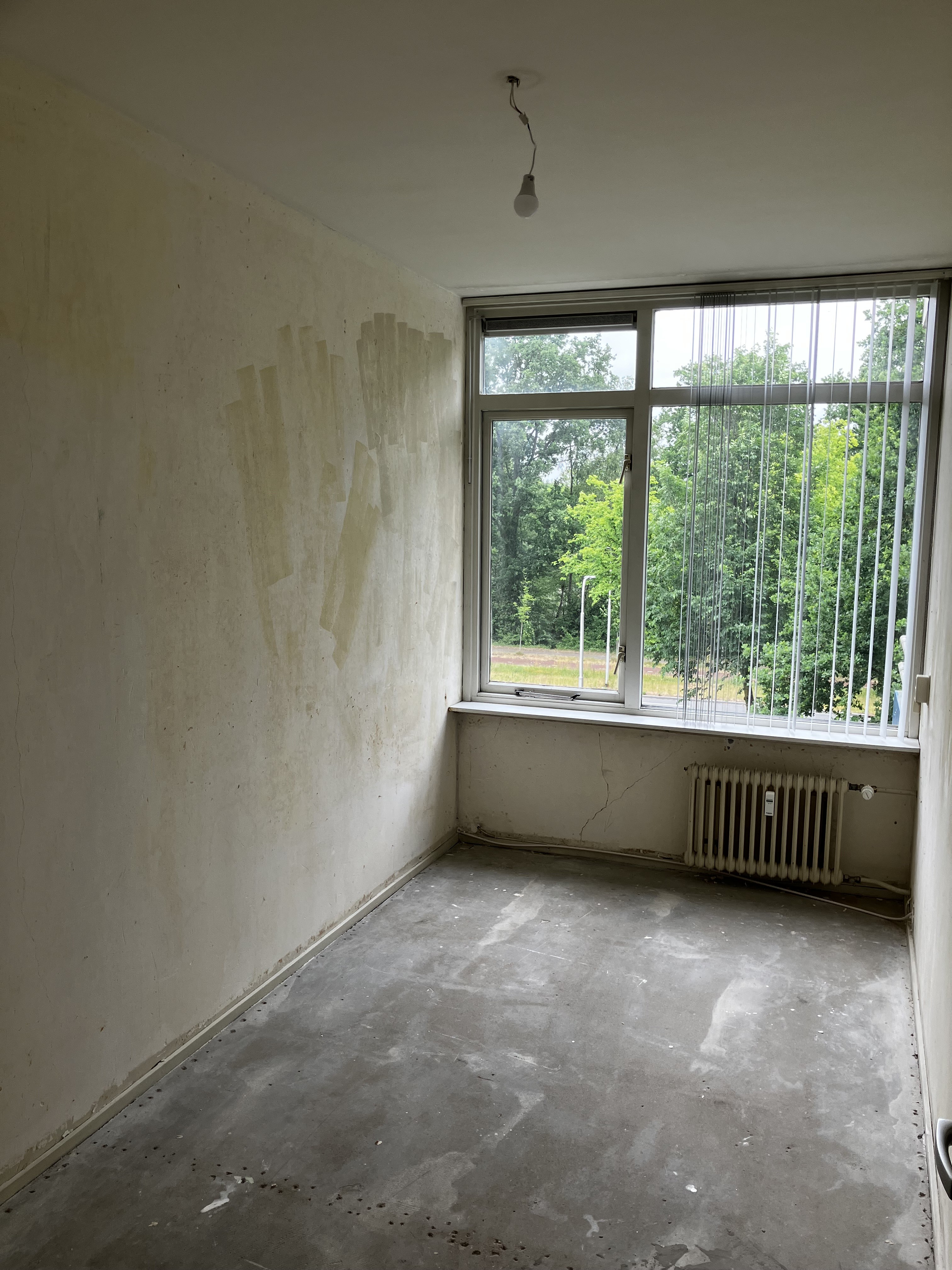 Redemptoristenstraat 203