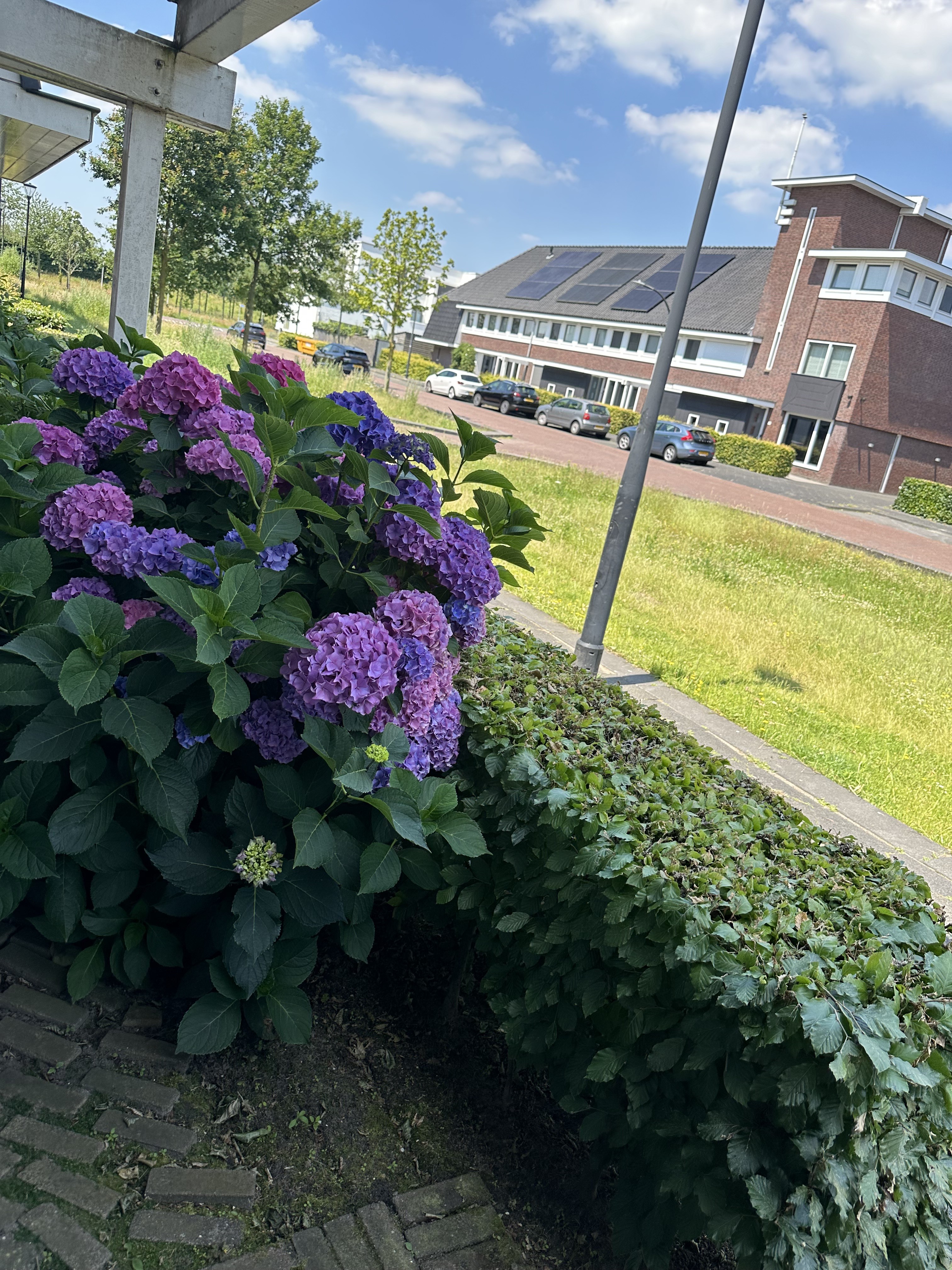 Varsseveldstraat 156