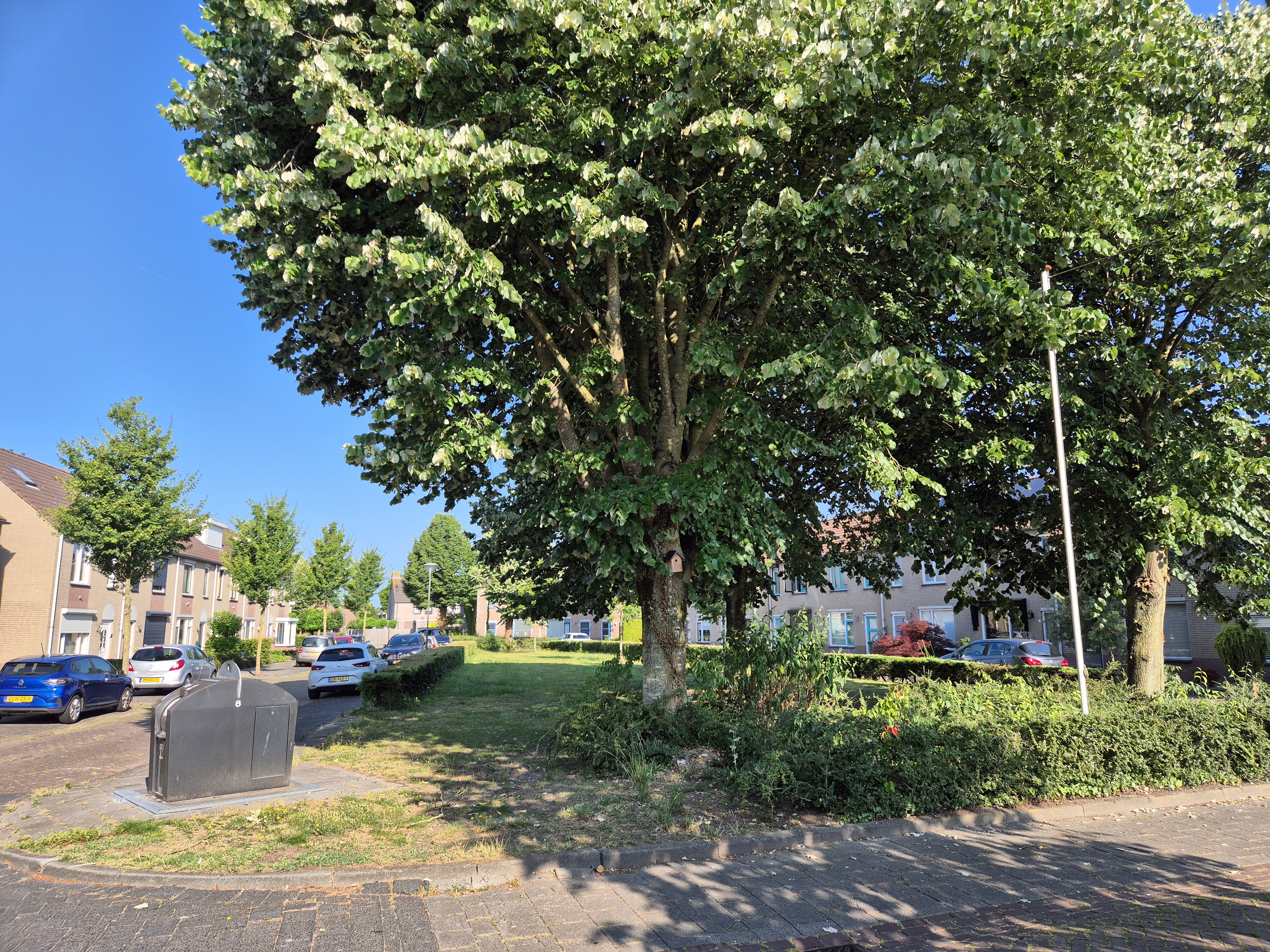 Pastoor Conincxstraat 19