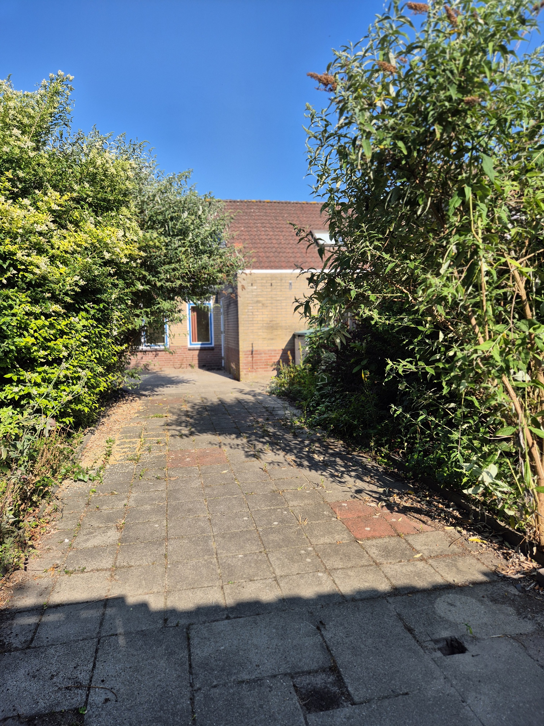 Pastoor Conincxstraat 19