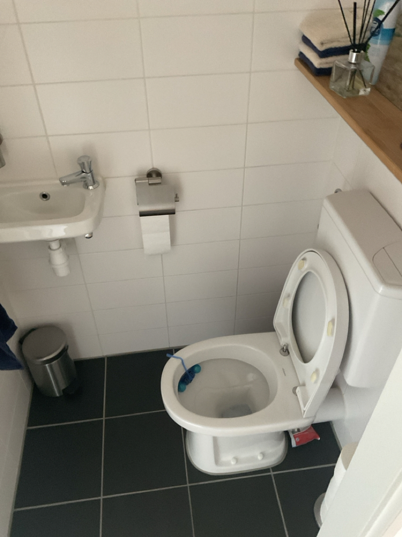 Anton Pieckplein 105