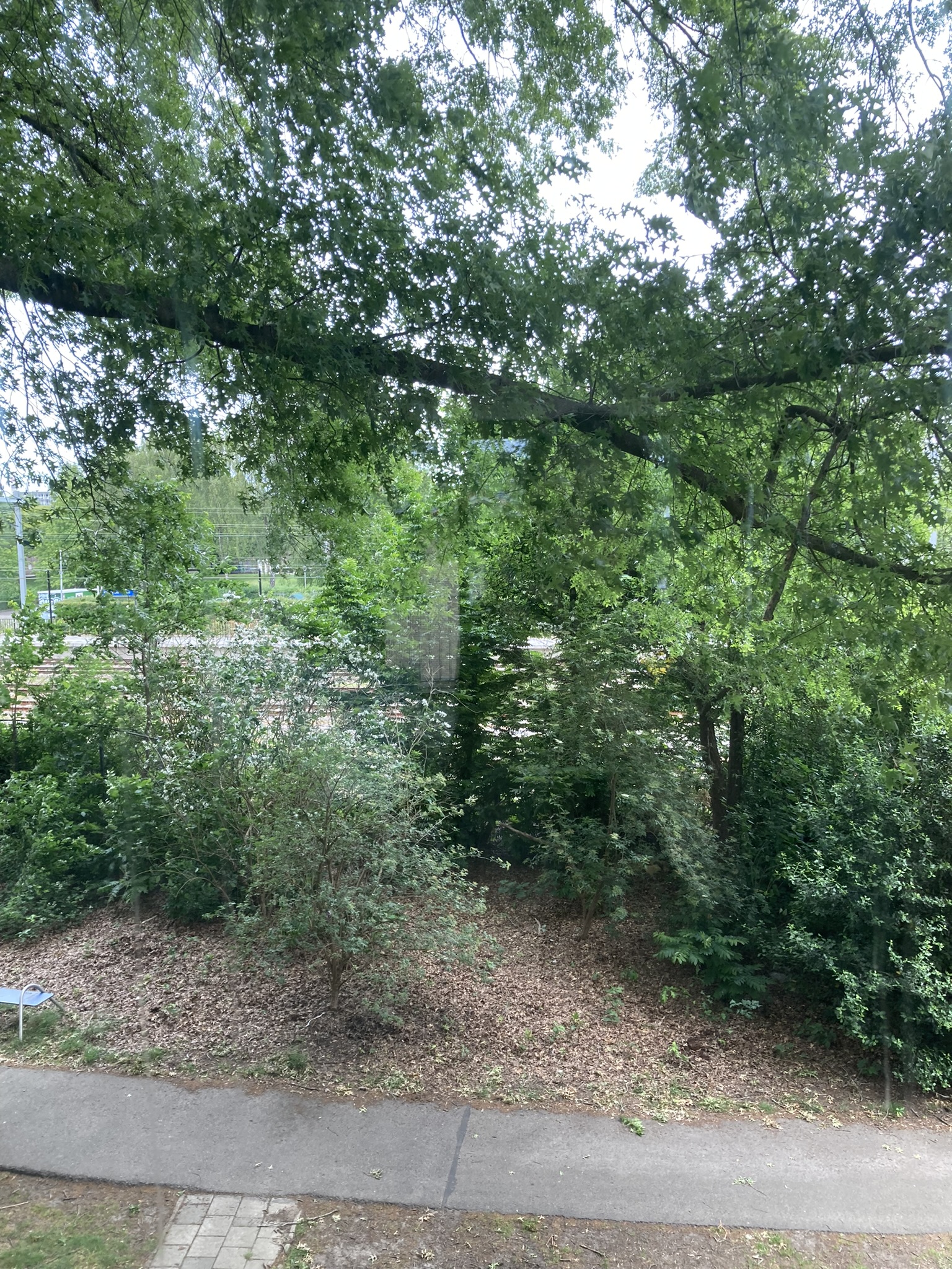 Abdij van Averbodestraat 95