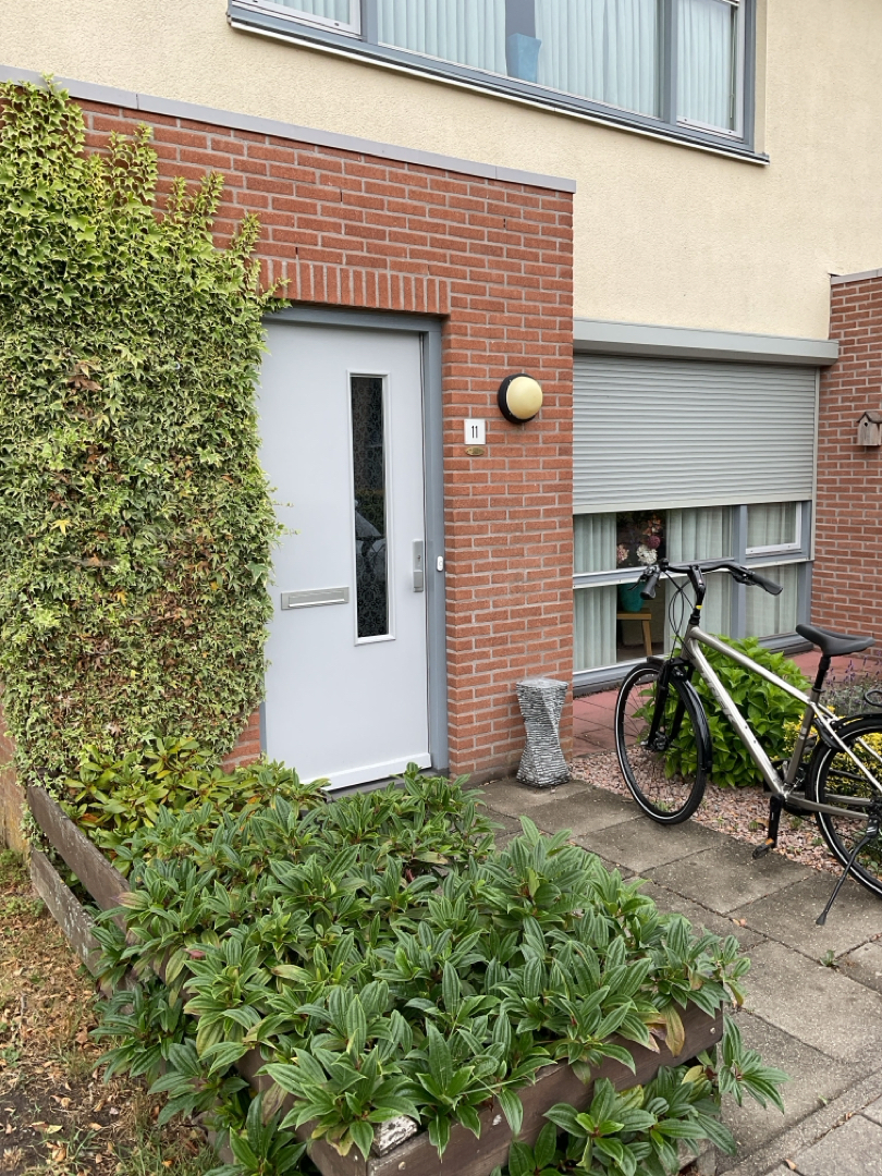 Goudvink 11